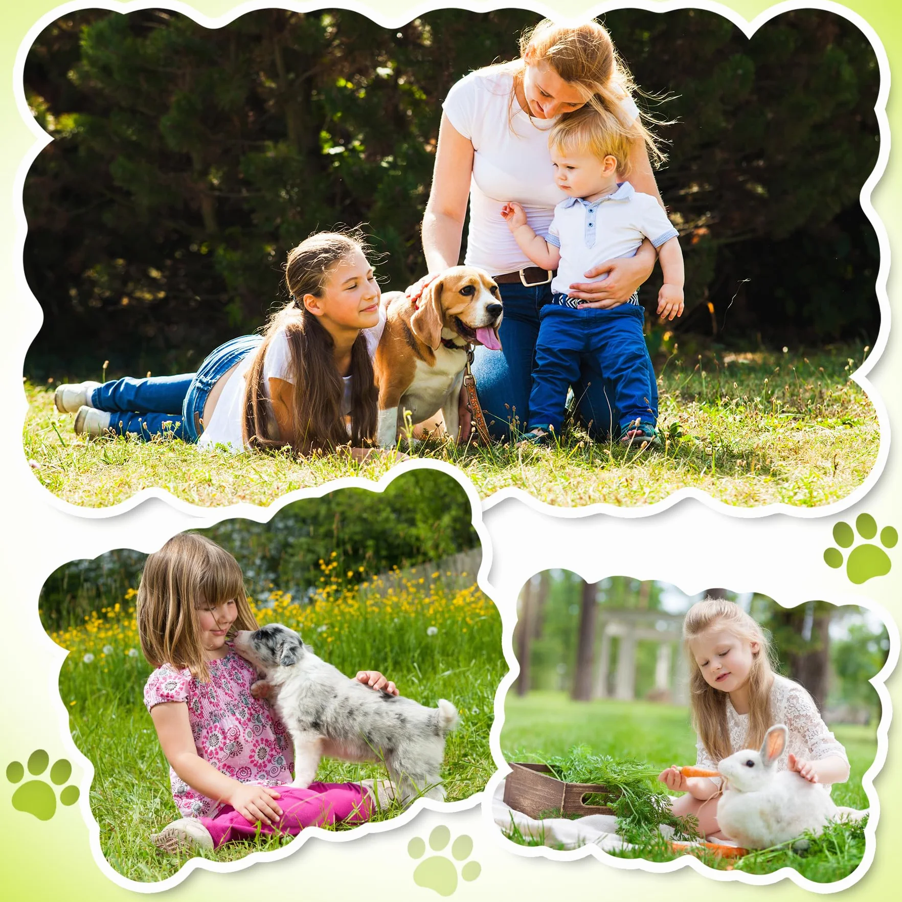 Pince à Tiques en Acier Inoxydable MELLIEX 5 Pièces avec Sac de Rangement pour Chiens et Chats