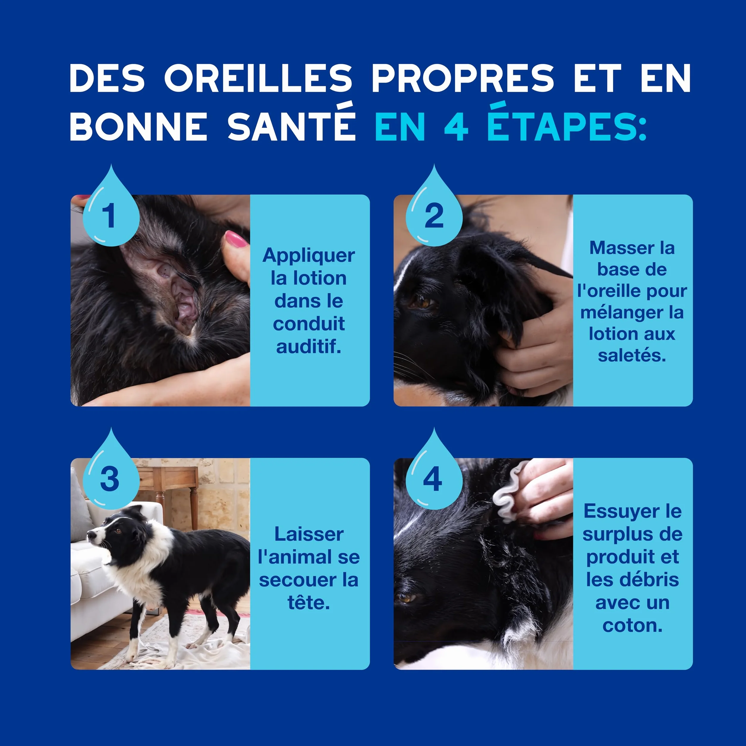 DOUXO Skin & Coat Spa - Ultra-Safe nettoyant auriculaire pour Chiens et Chats, 120 ML, nettoie l'oreille en Toute sécurité, Formule respectueuse de la Peau.