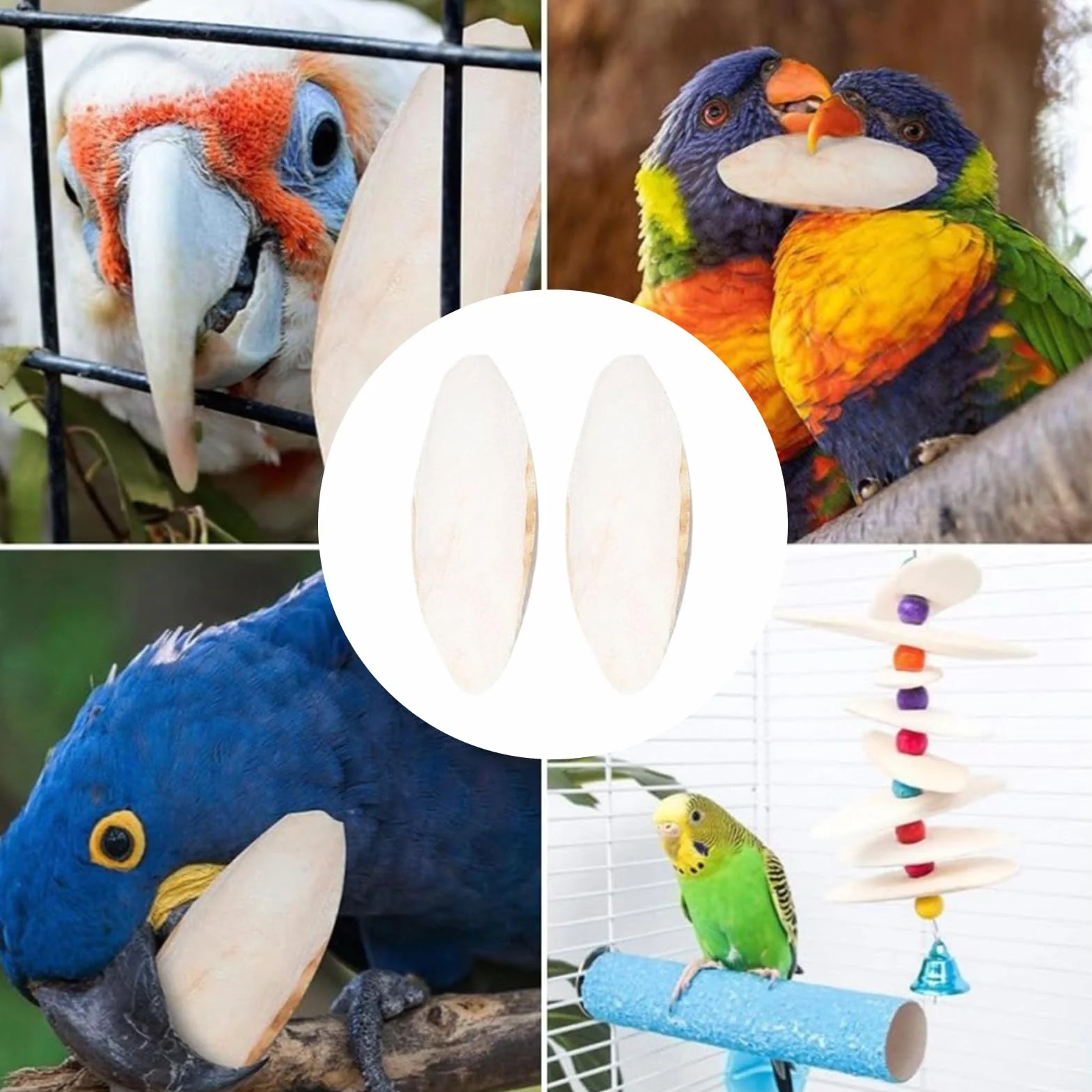 Os de seiche pour oiseaux – 2 pièces de pierre à aiguiser pour bec, perruche, calopsitte, canari, inséparable, reptile, perroquet | Calcium naturel