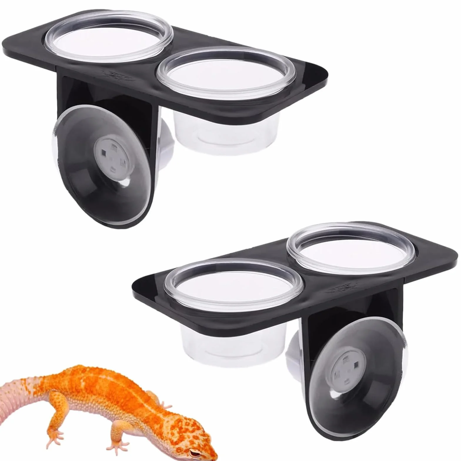 Mangeoires à Ventouse pour Reptiles 2 Pièces - Gamelle Reptile