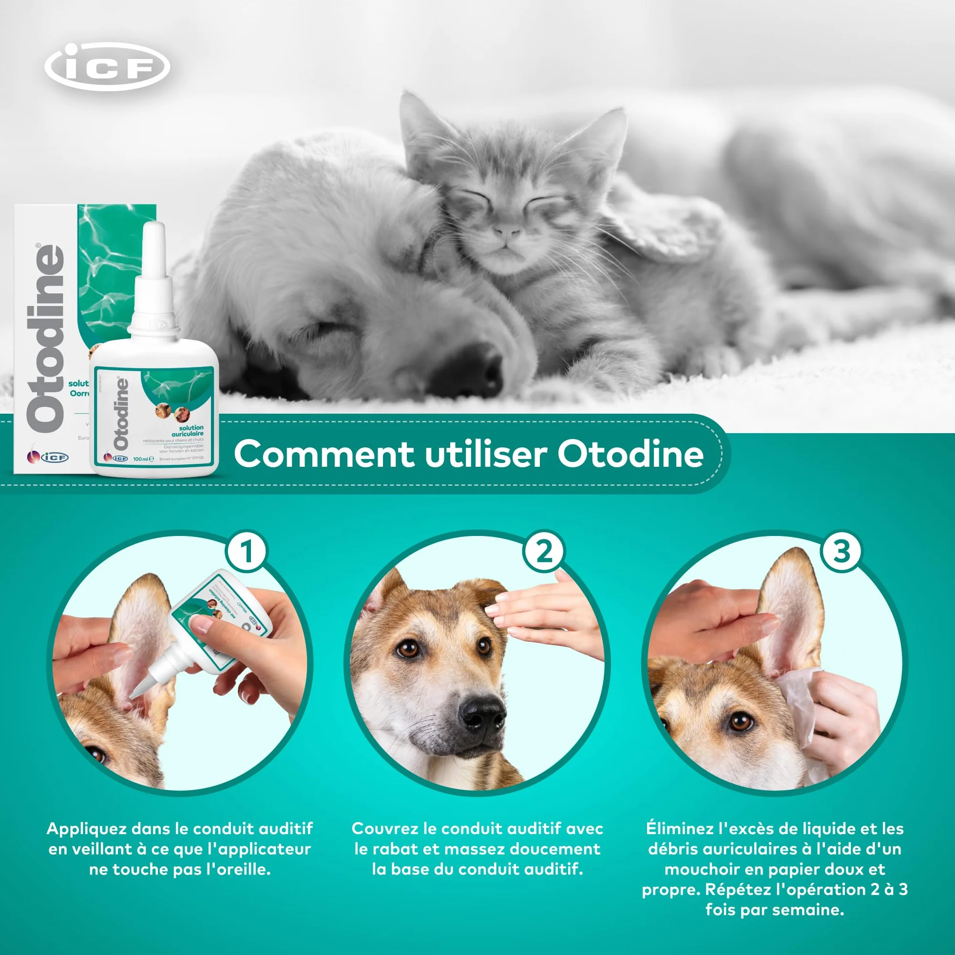 ICF Otodine Nettoyant Oreille Chien Chat 100ml