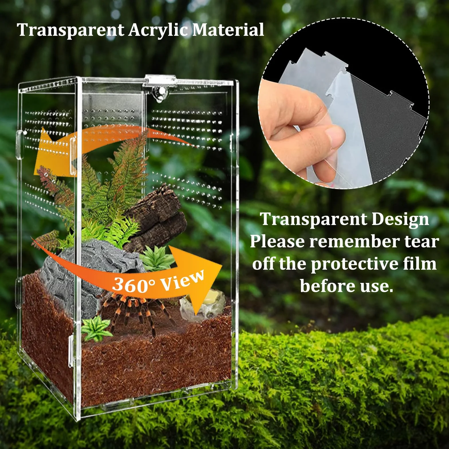 Boîte d'alimentation en Acrylique 12x12x20cm Transparent pour Reptiles avec Trous d'air