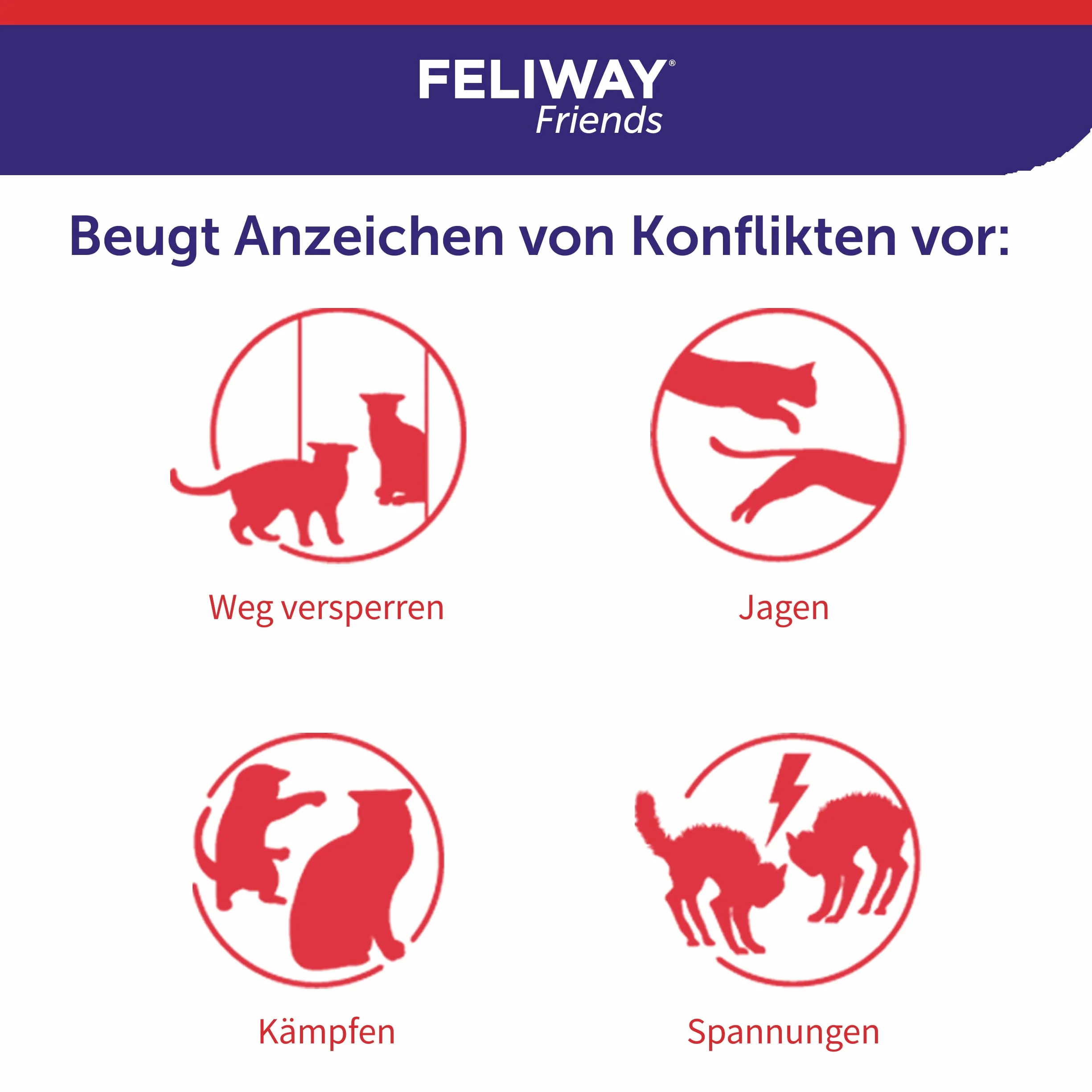 Feliway D89440L Friends 3 x 30 Jours 144 ML