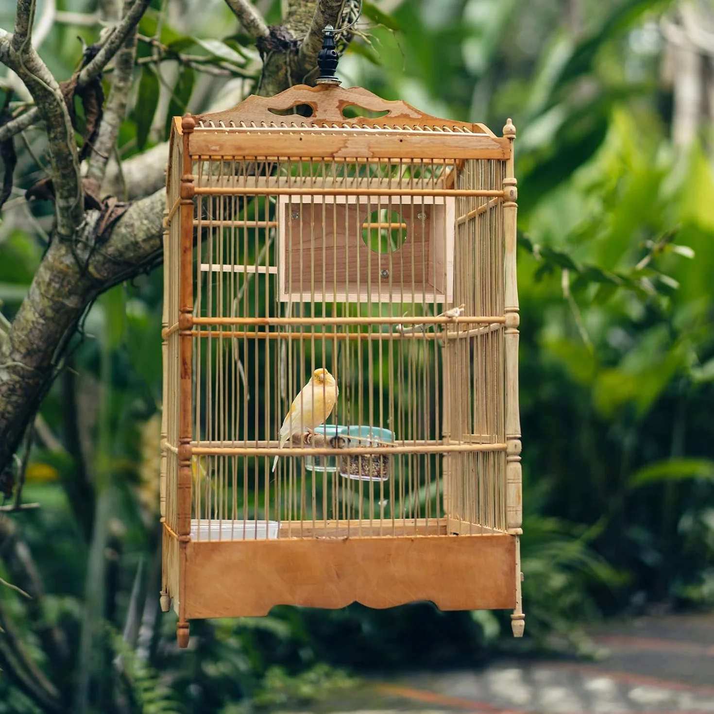 Nichoir pour perruches transparent en bois naturel - Volière pour perruches et perroquets