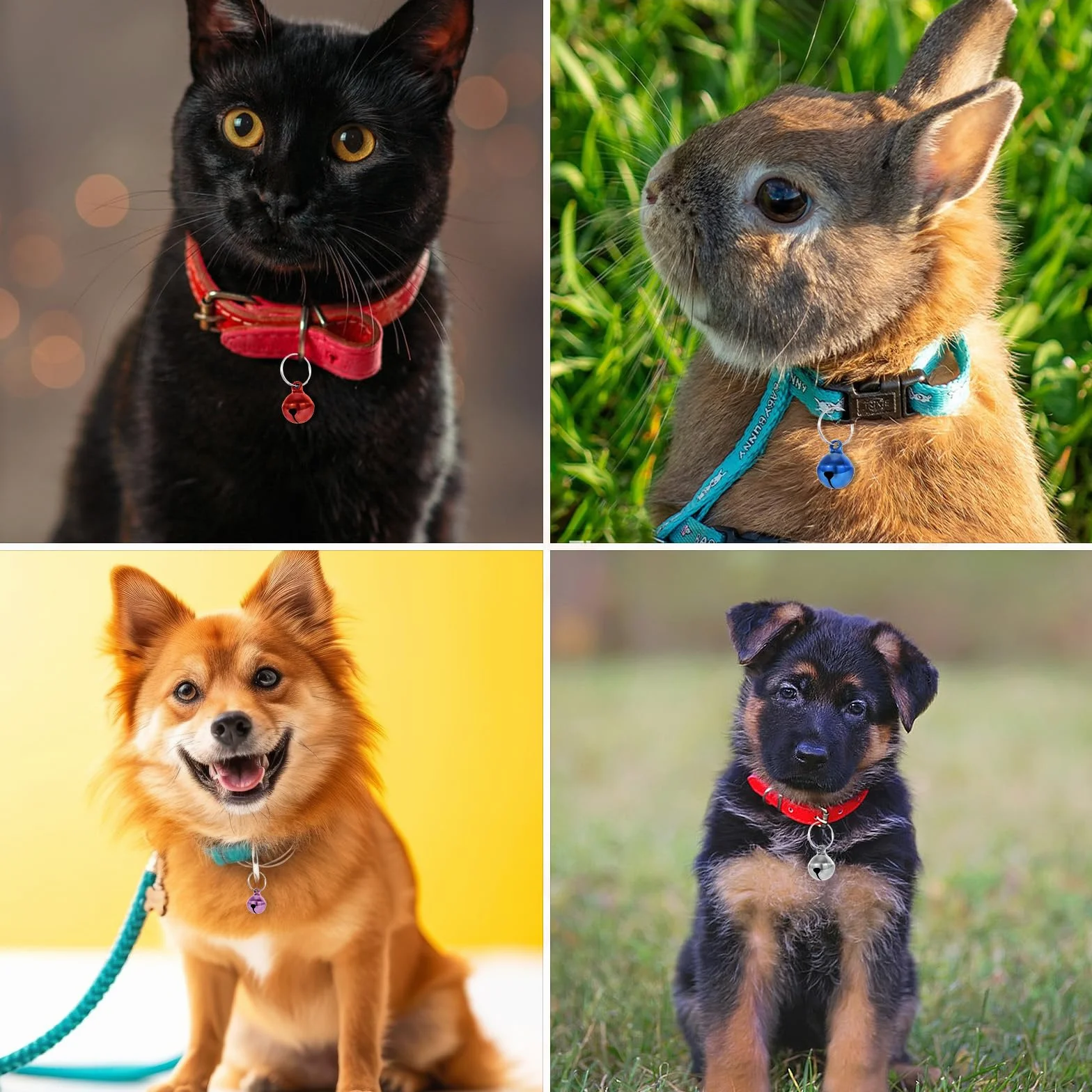 Clochettes colorées pour animaux de compagnie, son net, pour chat et collier chien, anti-perte, pendentif dressage
