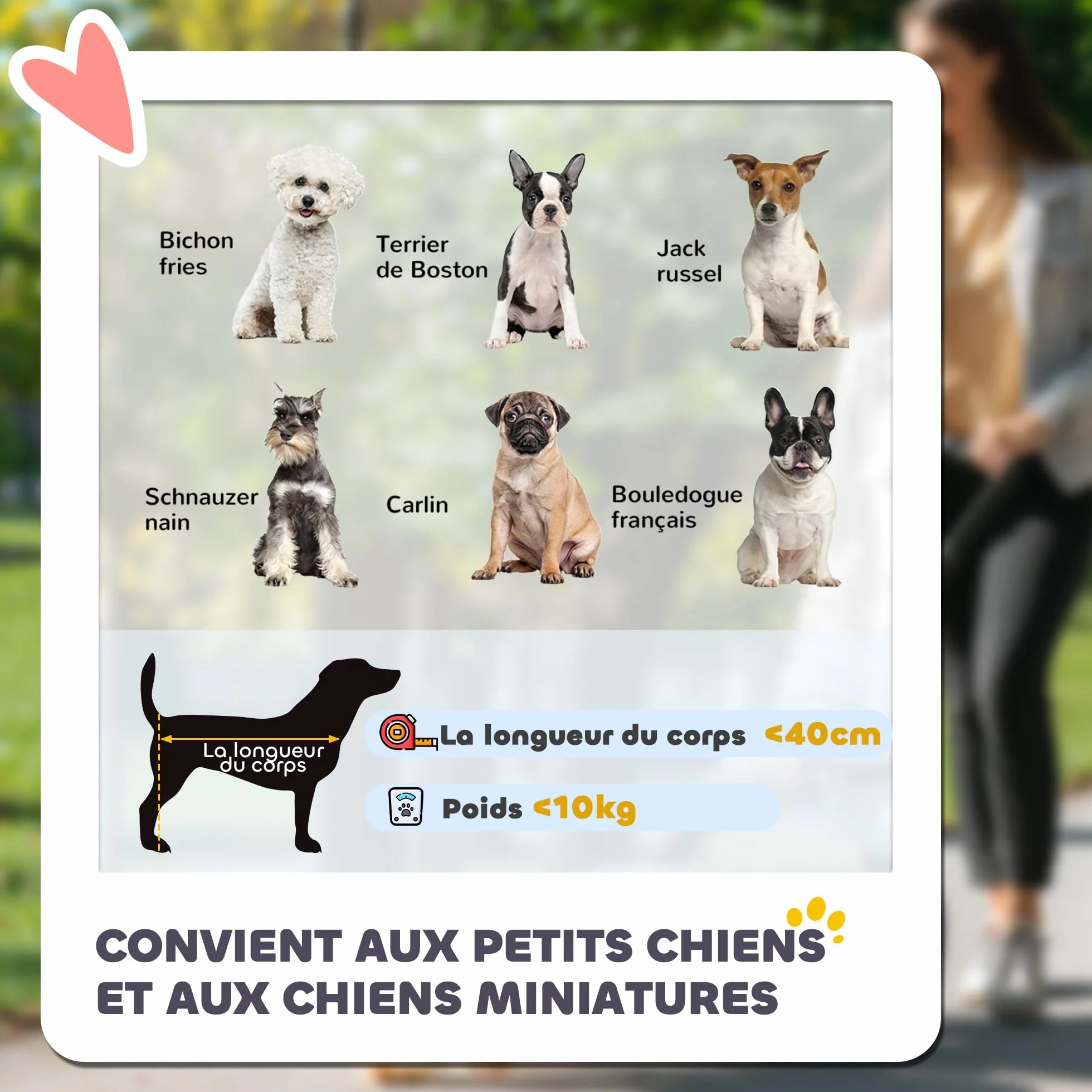 PawHut Poussette pliable animaux chien chat 2 en 1, nacelle amovible 4 roues avec frein 81 x 58 x 97,5 cm gris