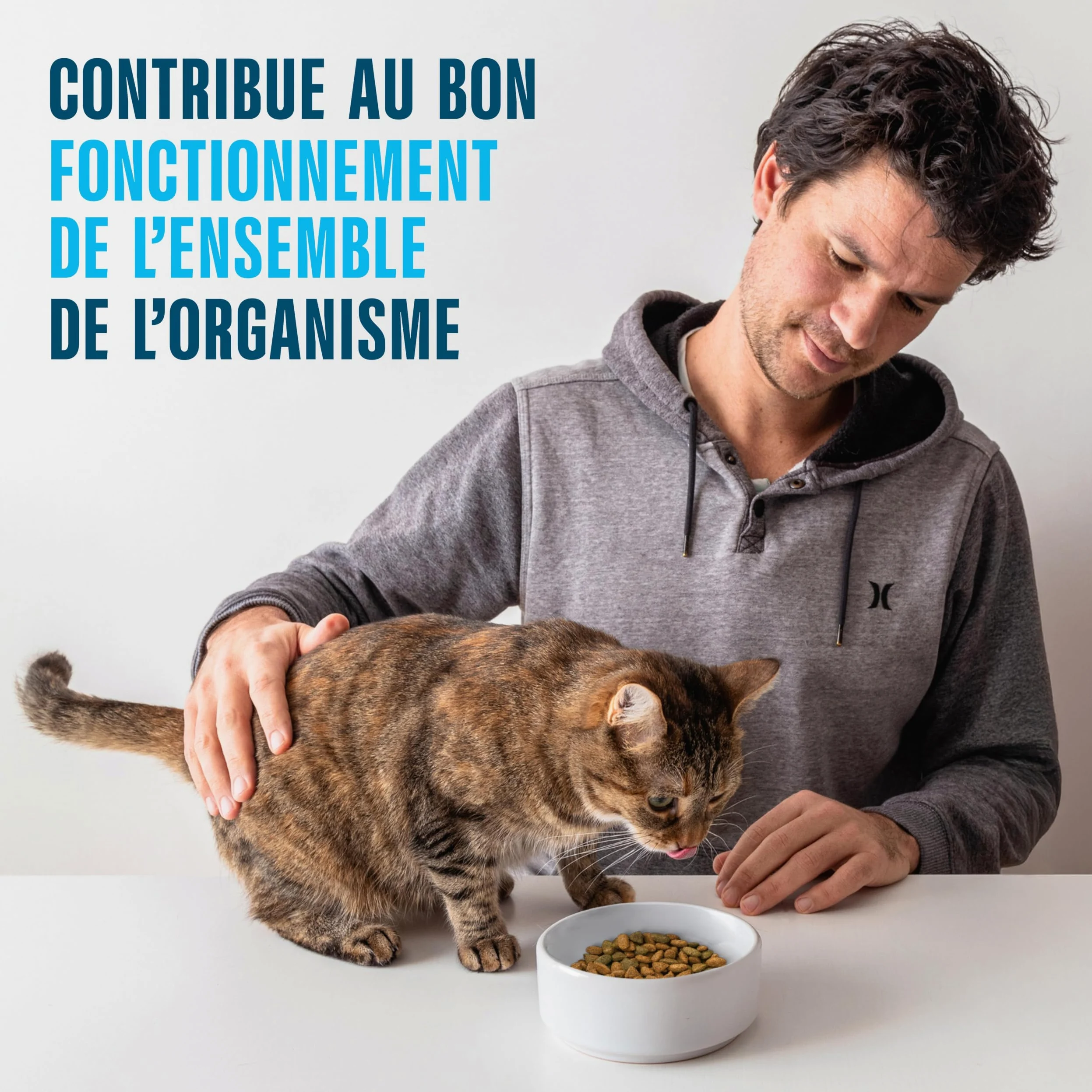 Sachet de Nourriture pour Chat Indoor 1+, 4 x 13 x 85 g au Poulet et aux Petits Pois/au Saumon et aux Carottes (Pack de 52)