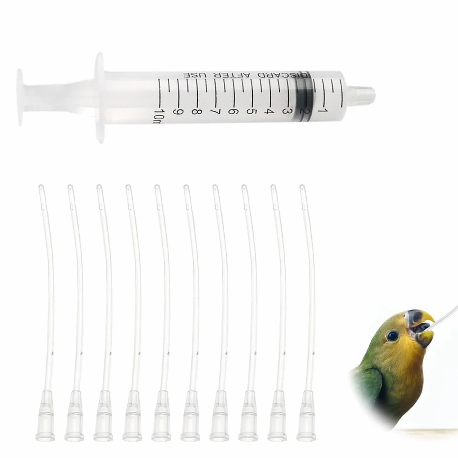 Seringue Alimentaire 10 ML pour Oiseaux avec 10 Tubes d'Alimentation pour Perroquets et Petits Animaux