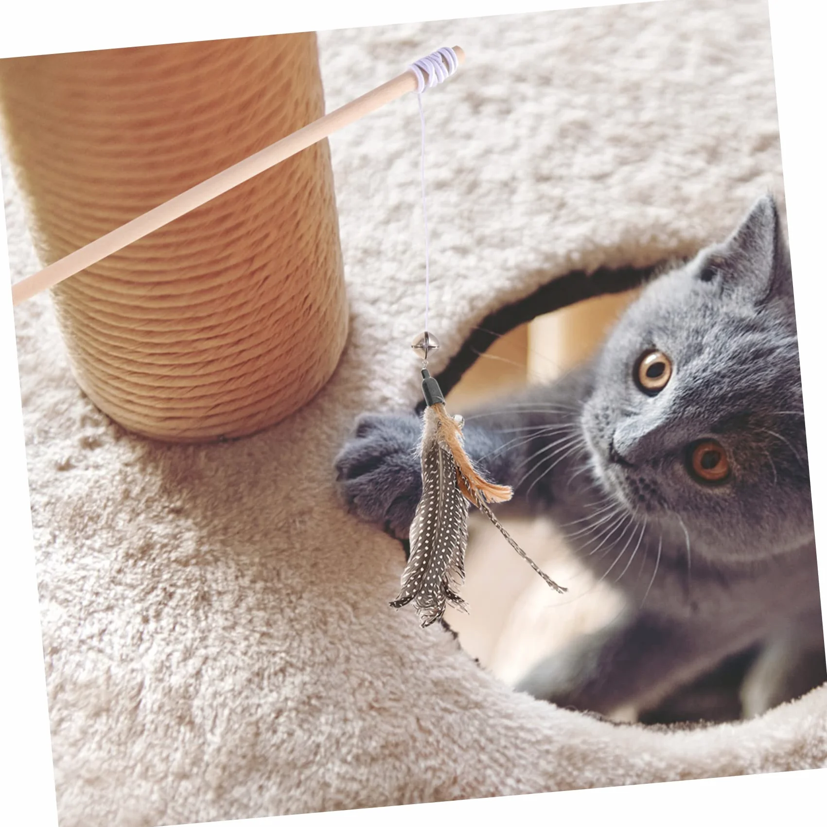 BESPORTBLE 32 Pièces Recharge Chat Teaser Chat Jouet interactif Jouet pour Chat Interactive Cat Toy Jeux pour Chat Baguettes de Chat Remplacement des Baguettes Teaser Chat la Plume