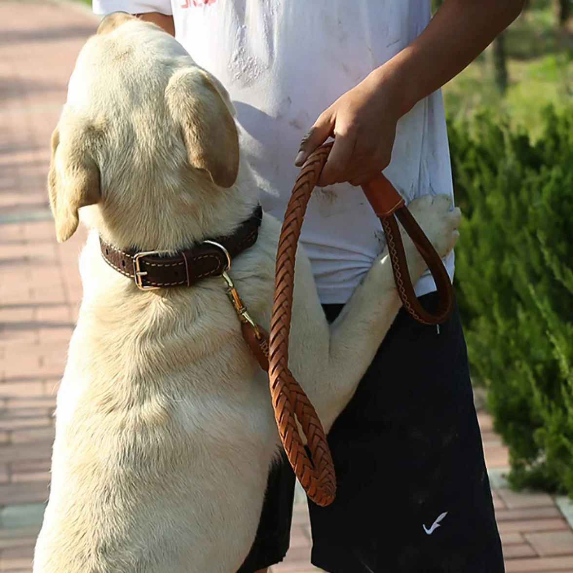 Laisse pour chien en cuir véritable de 1,1 m de long et 2,5 cm de large avec poignée souple tressée pour chiens de taille moyenne et grande (1,9 m)