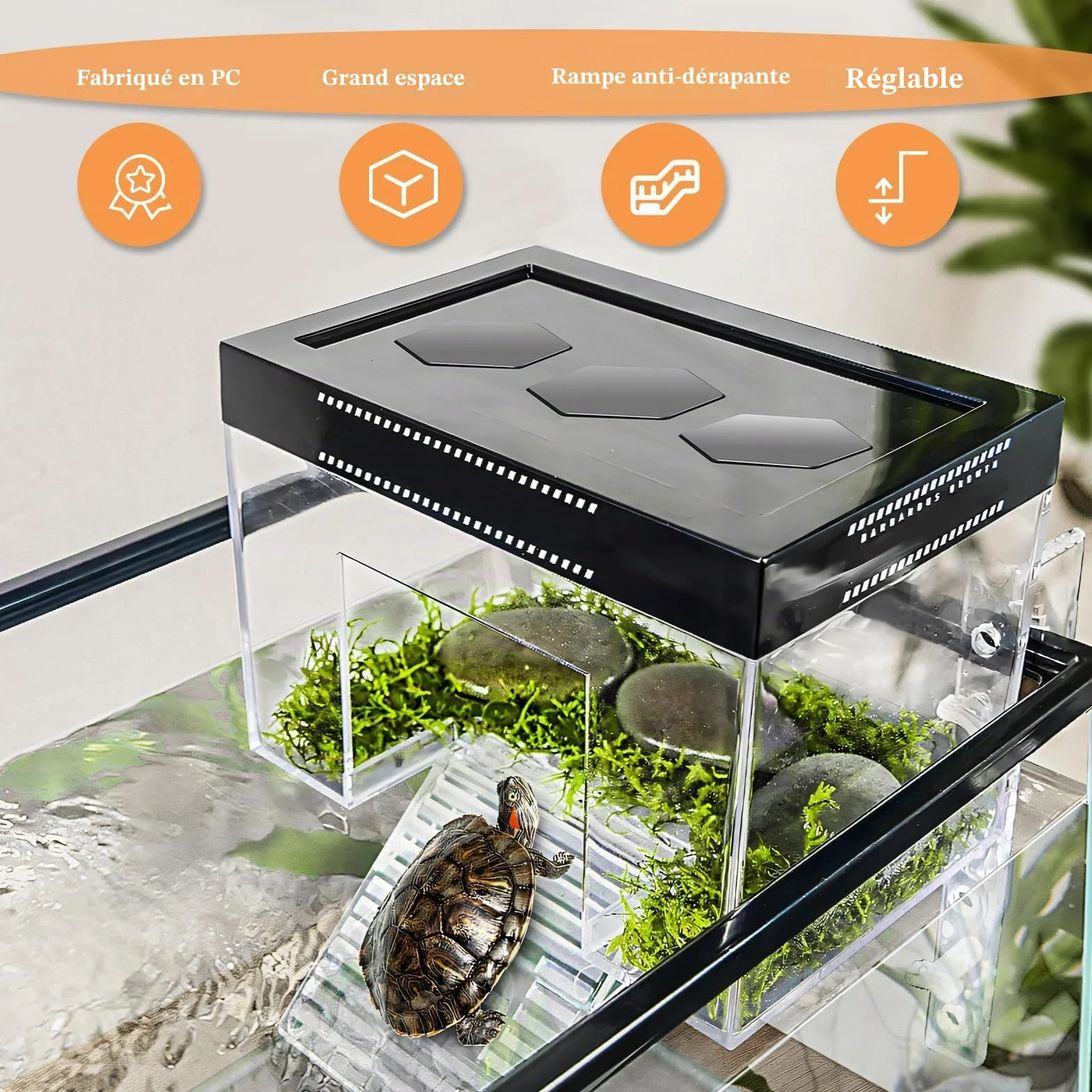 Plateforme de repos suspendue pour tortues à hauteur réglable 25×16×16 cm PC transparent enclos aquarium