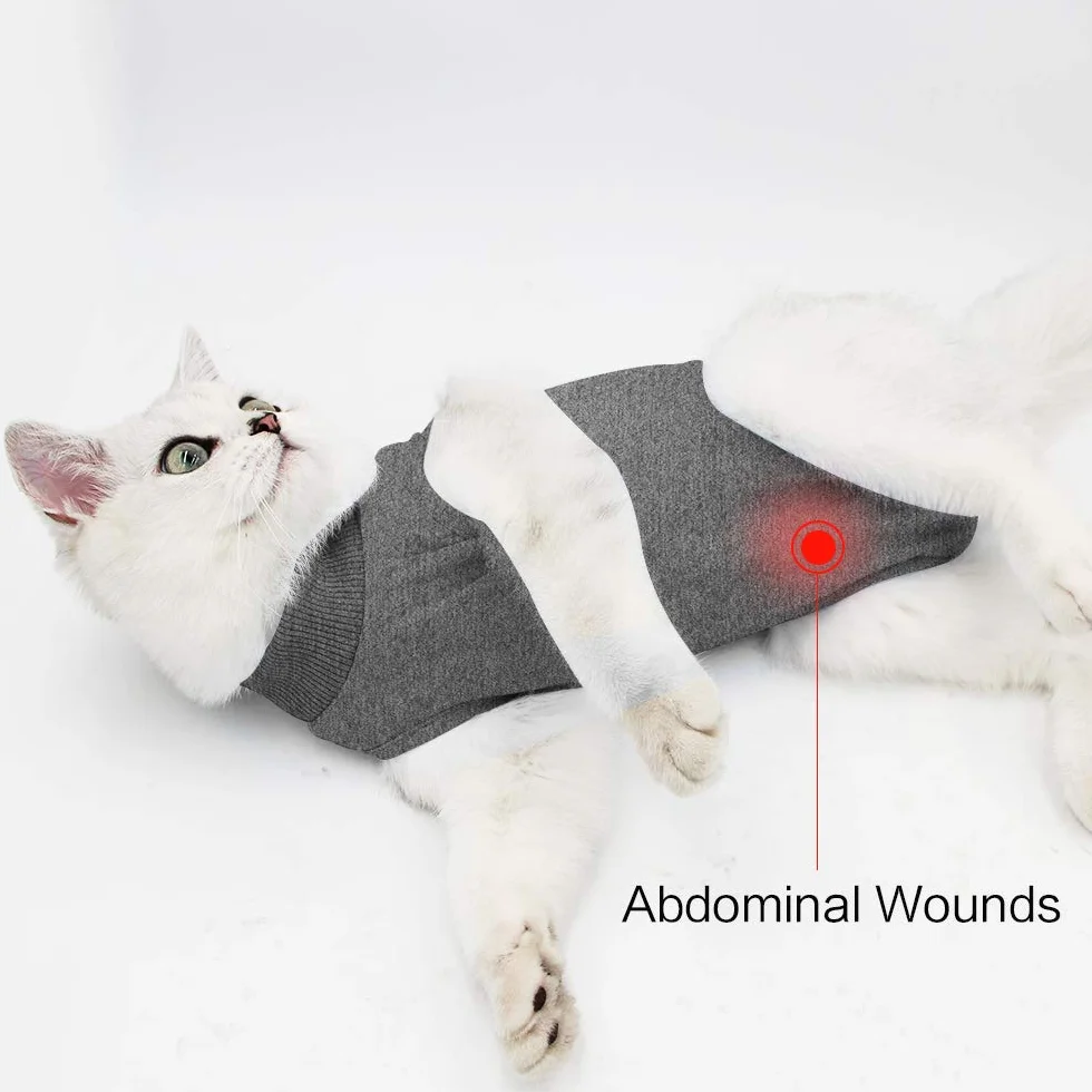 Costume de récupération Anti-léchage pour Chat Plaies Abdominales Doux Vêtement Animaux Collier E Après Chirurgie