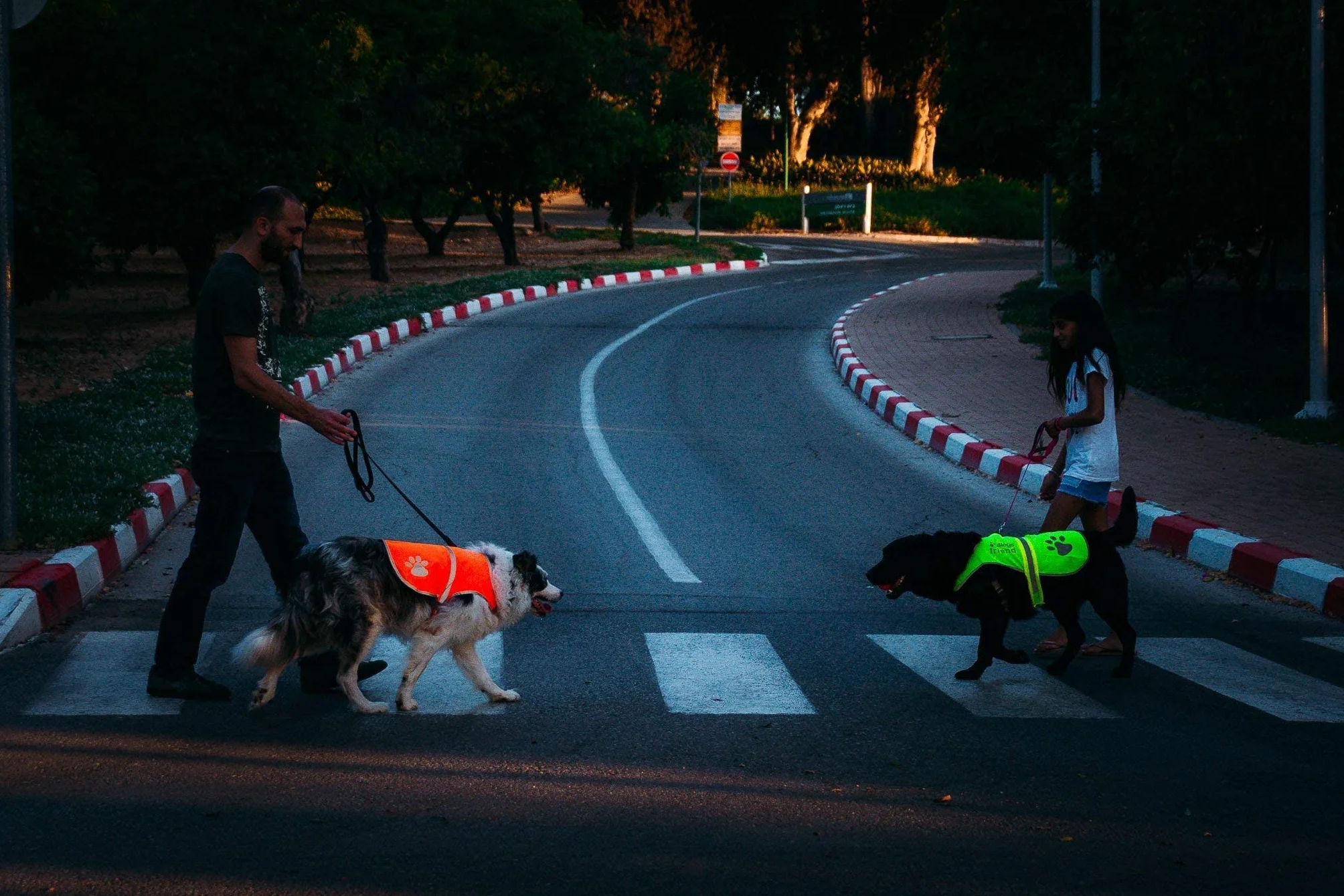 Gilet de sécurité réfléchissant pour chien haute visibilité avec trou pour laisse 5 tailles sangles réglables (X-Large, Orange)