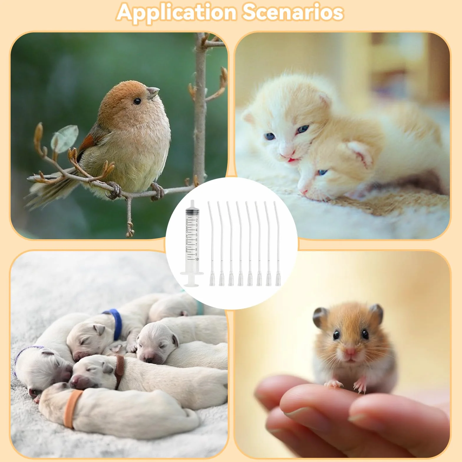 Sondes d'alimentation pour Oisillons 12 Pièces avec Seringues 10 ML pour Perroquets et Petits Animaux