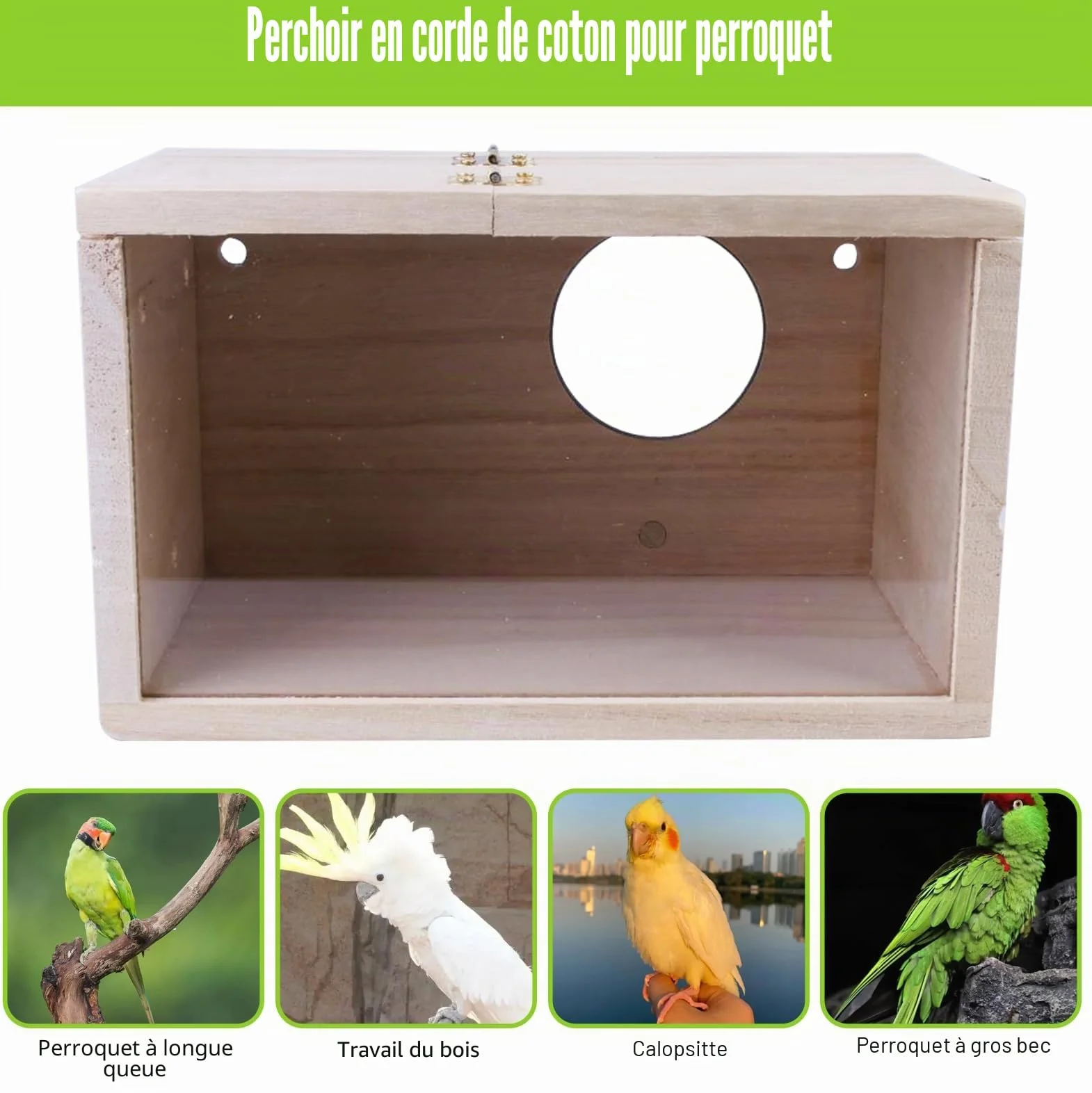 Nizirioo Nichoir transparent pour perruches, perruches, perruches, perroquets, 12 x 12 x 19,5 cm