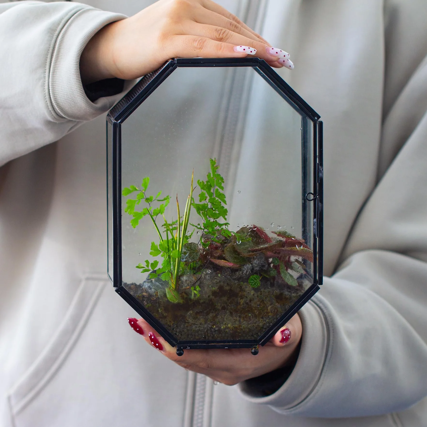 Terrarium en Verre Octogonale 15,8x8x22,1 cm avec Maille et Porte pour Araignées Insectes Petites Plantes