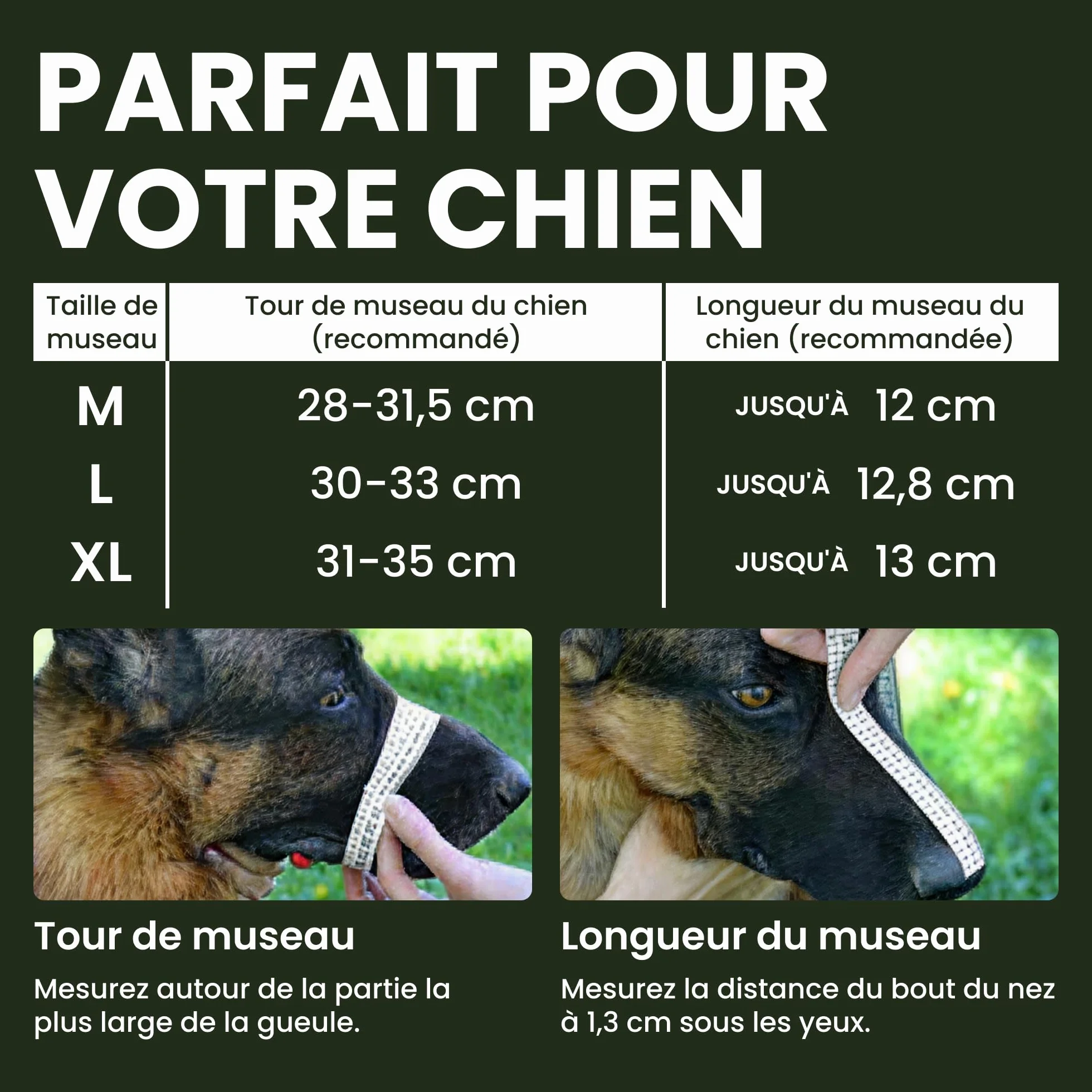BRONZEDOG Muselière pour Chien en Fil de Fer - Berger Allemand pour Chiens de Taille Moyenne et Grande - Panier en métal Durable pour Mordre, mâcher et aboyer (L)