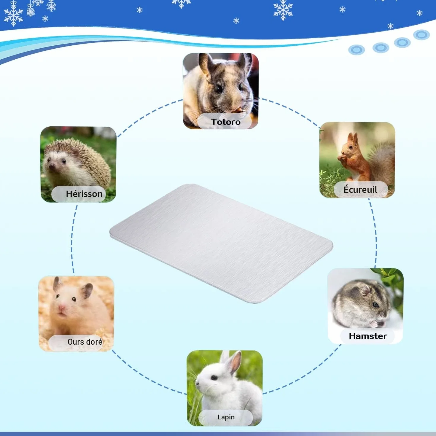 Coussin de Refroidissement pour Lapin 30x20cm Tapis de Refroidissement pour Petits Animaux Restent Cool Assiette Cool Lapin