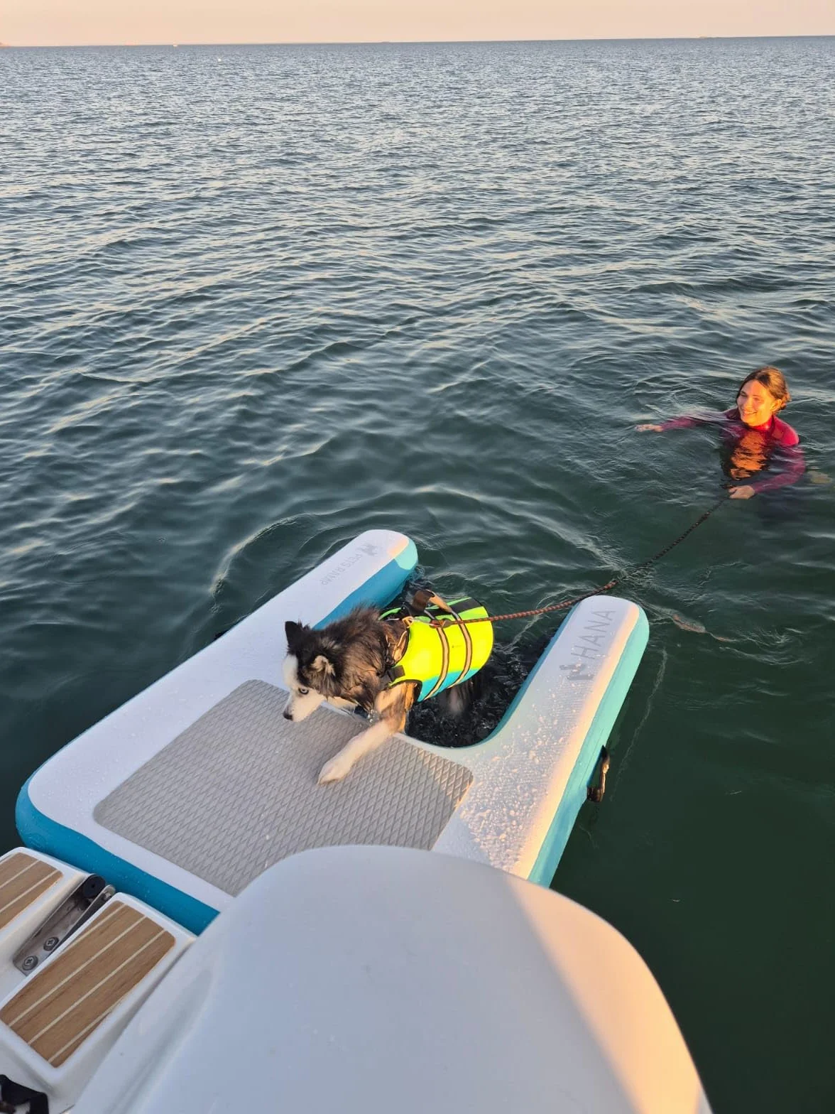 HANA Rampe de Sortie d’Eau Gonflable pour Chiens 150x100x15cm Plateforme Flottante Dropstitch Haute Résistance Filet Antidérapant