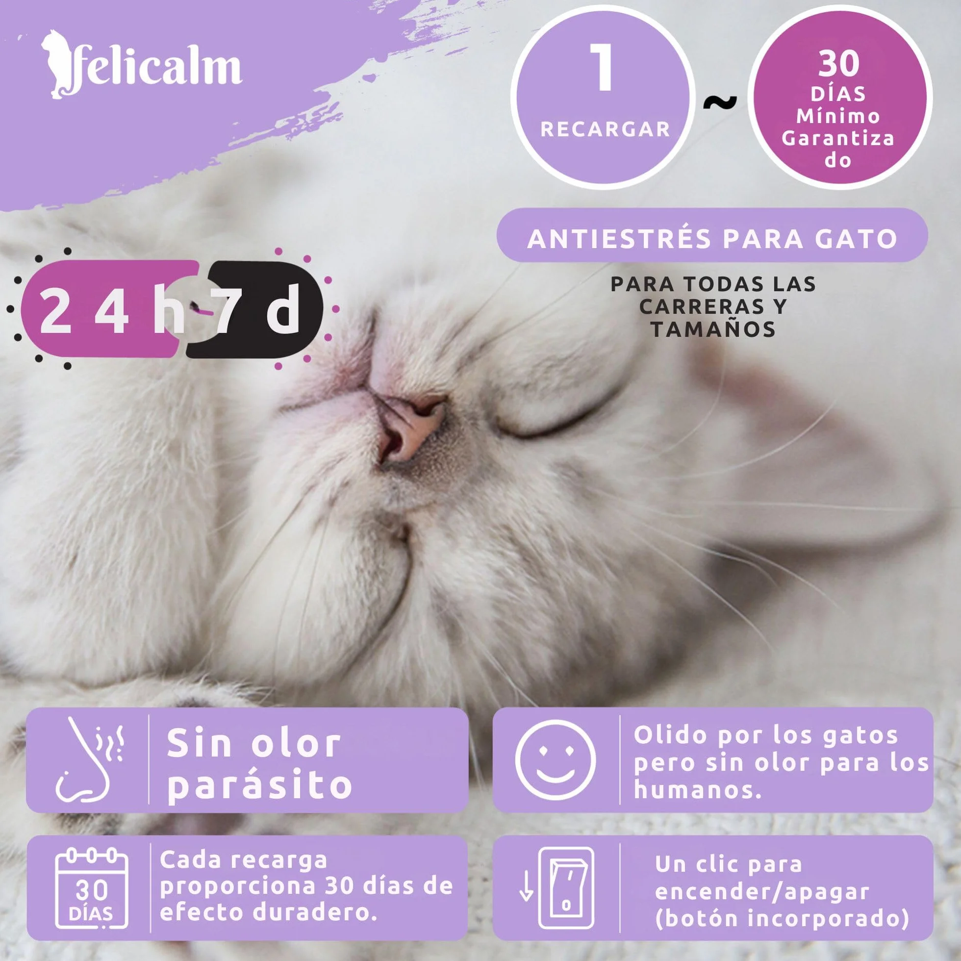 PHEROMONE pour Chat et Chaton 2 Recharges 48 ML Anti Stress CALMANT