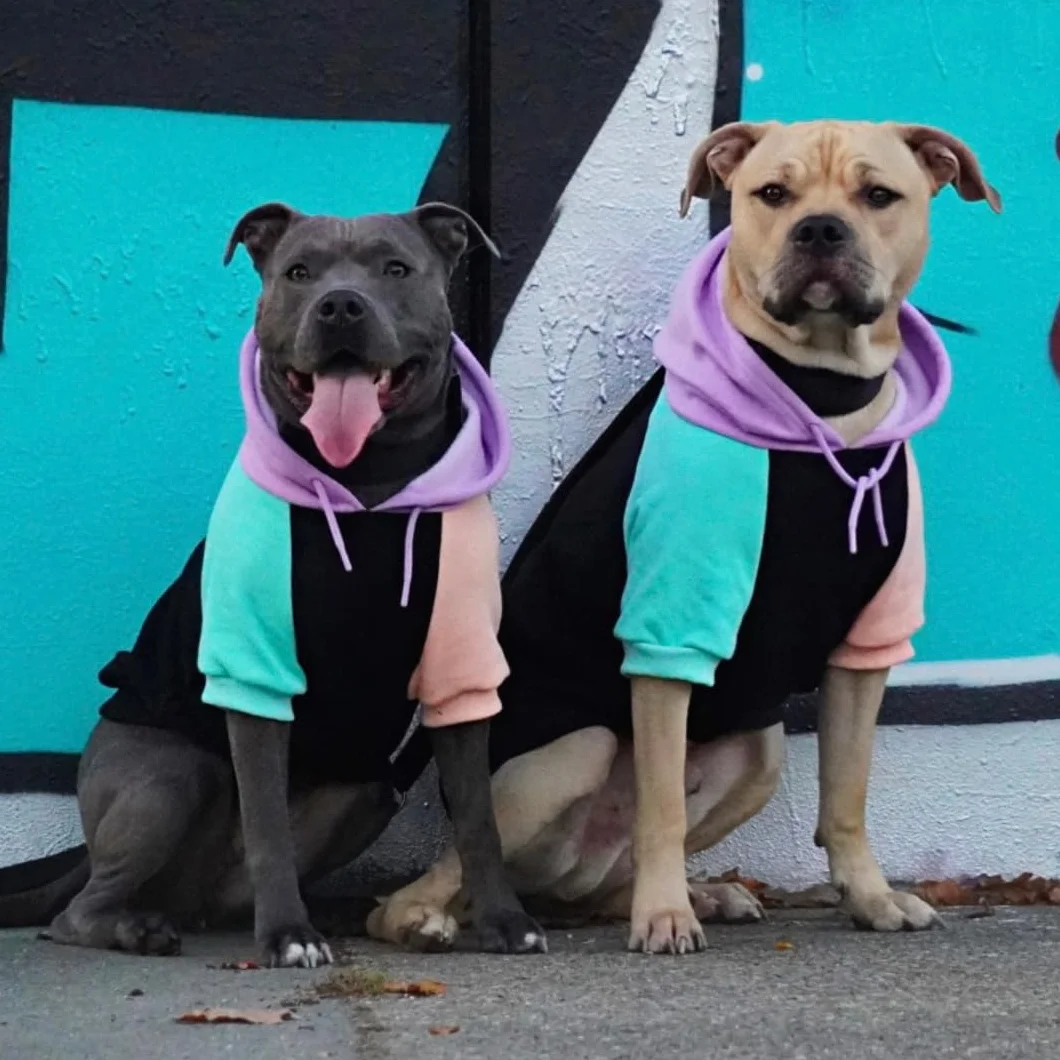 Spark Paws Sweat à capuche pour chien – Veste d'hiver chaude pour petites, moyennes et grandes races – Cyber Punk – M