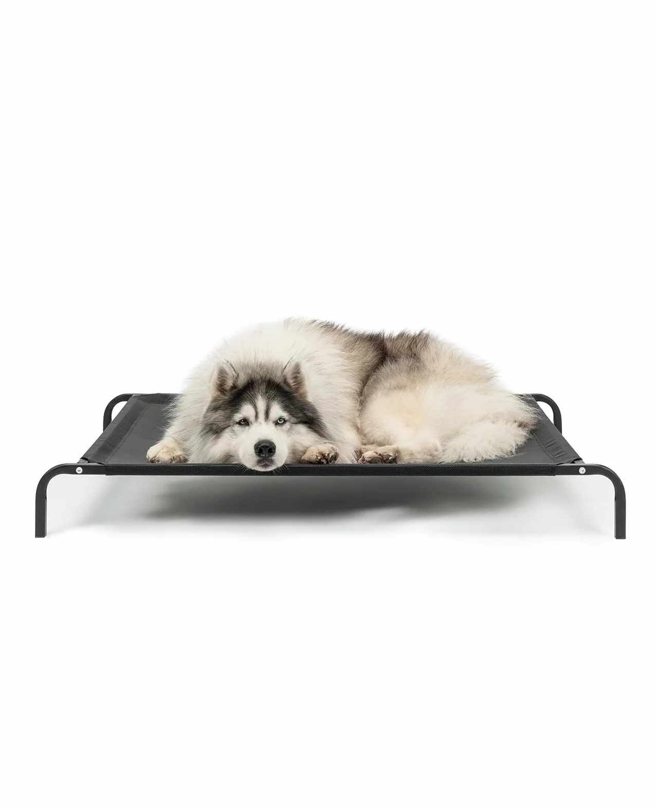 Lionto Lit pour Chien surélevé d'extérieur 117x85 cm Housse Amovible Maille Respirante Cadre métallique Noir