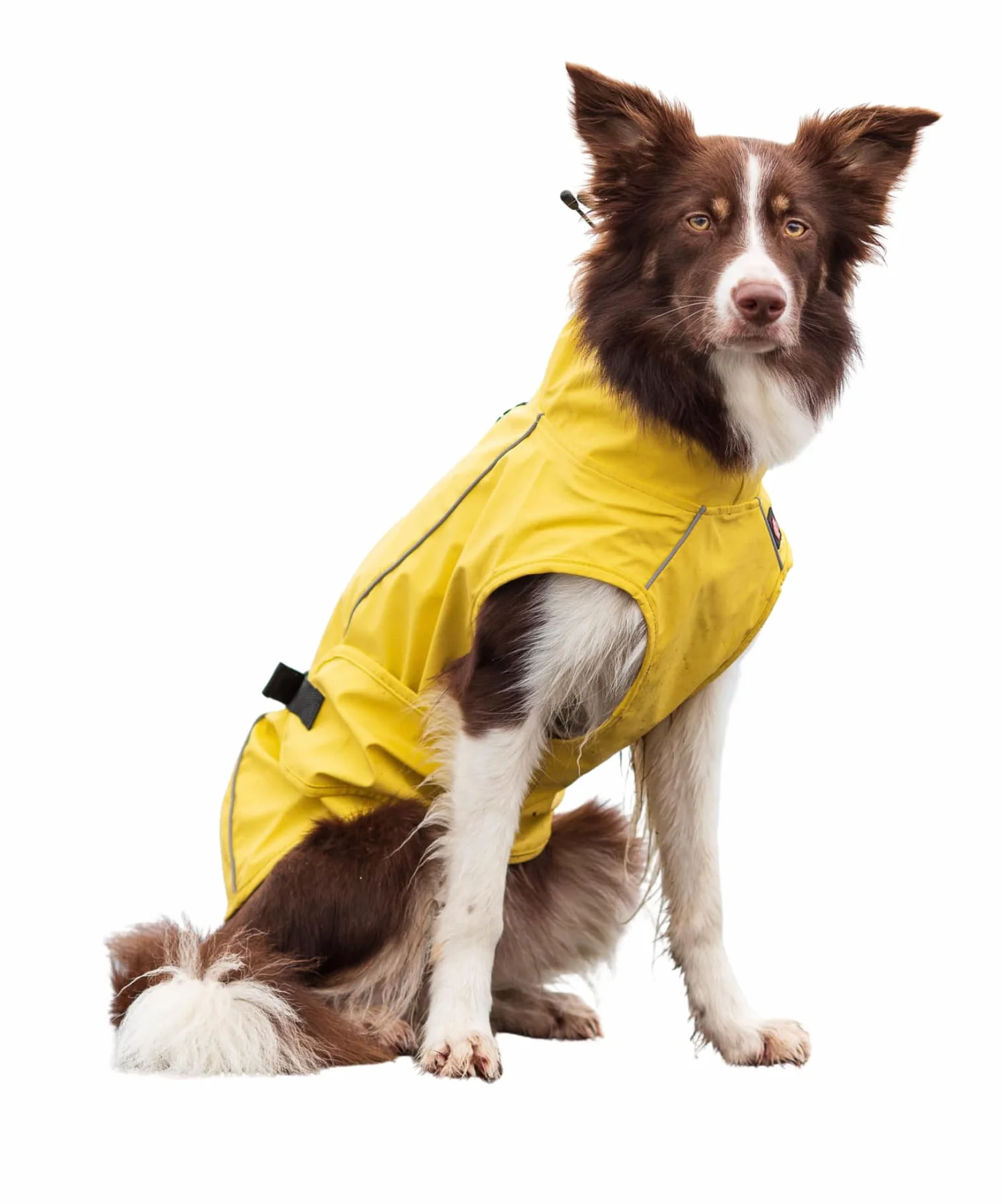 Trixie Vimy imperméable chien S jaune 40-61 cm tour de ventre 40 cm dos réfléchissant réglable