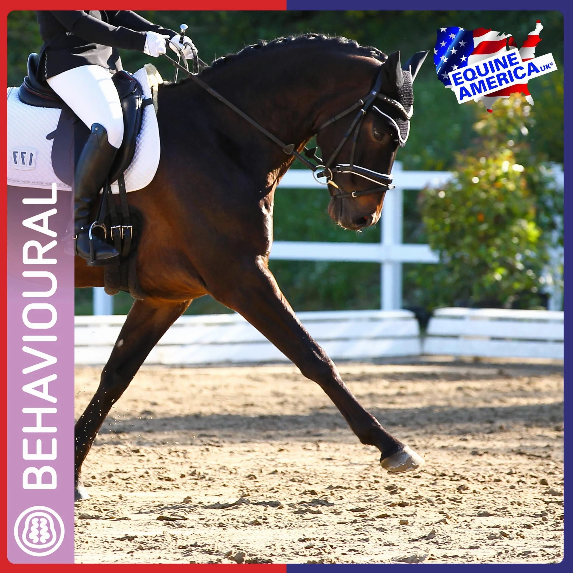 Equine America So-Kalm-Solution 1l