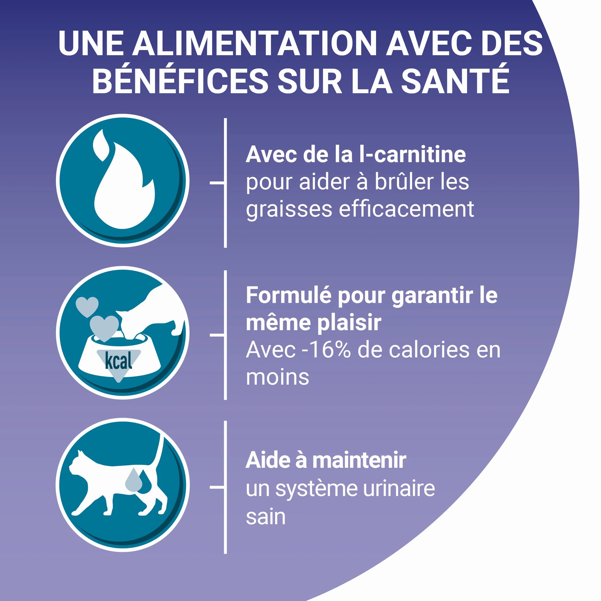 PURINA ONE BIFENSIS Poids DE Forme Croquettes Chat Adulte Stérilisé Poulet 1,5 Kg
