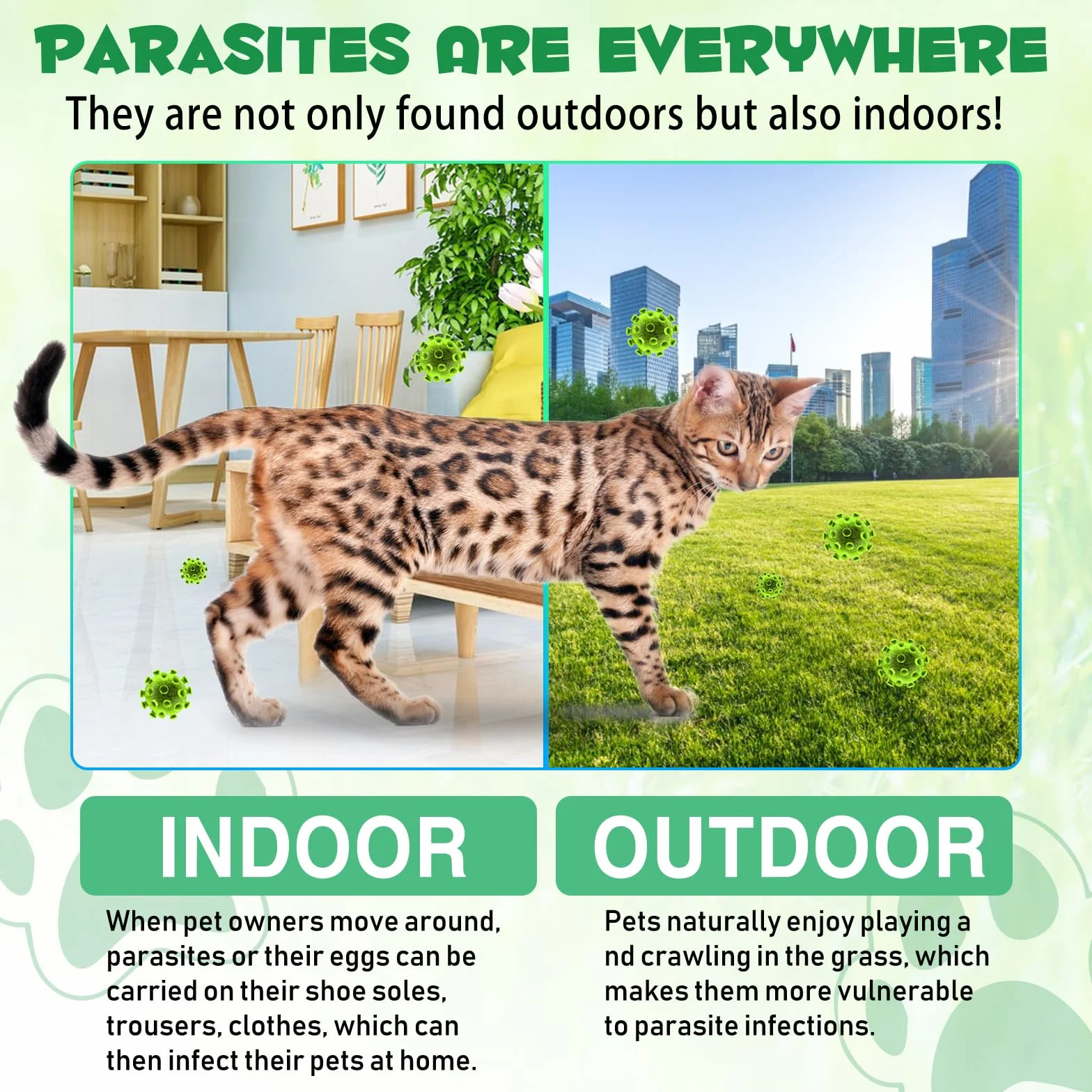HEXIN Vermifuge pour chat 60 ml, vermifuge à base de plantes avec probiotiques – Anti-parasites large bande