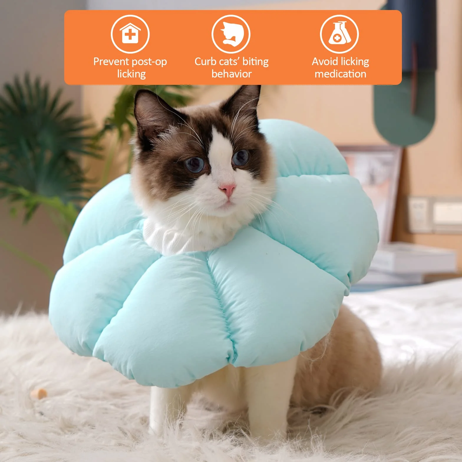 Avont Collerette Récupération Protection Lavable pour Chat et Chien, Collier Élisabéthain Post-Opératoire Bleu (S)