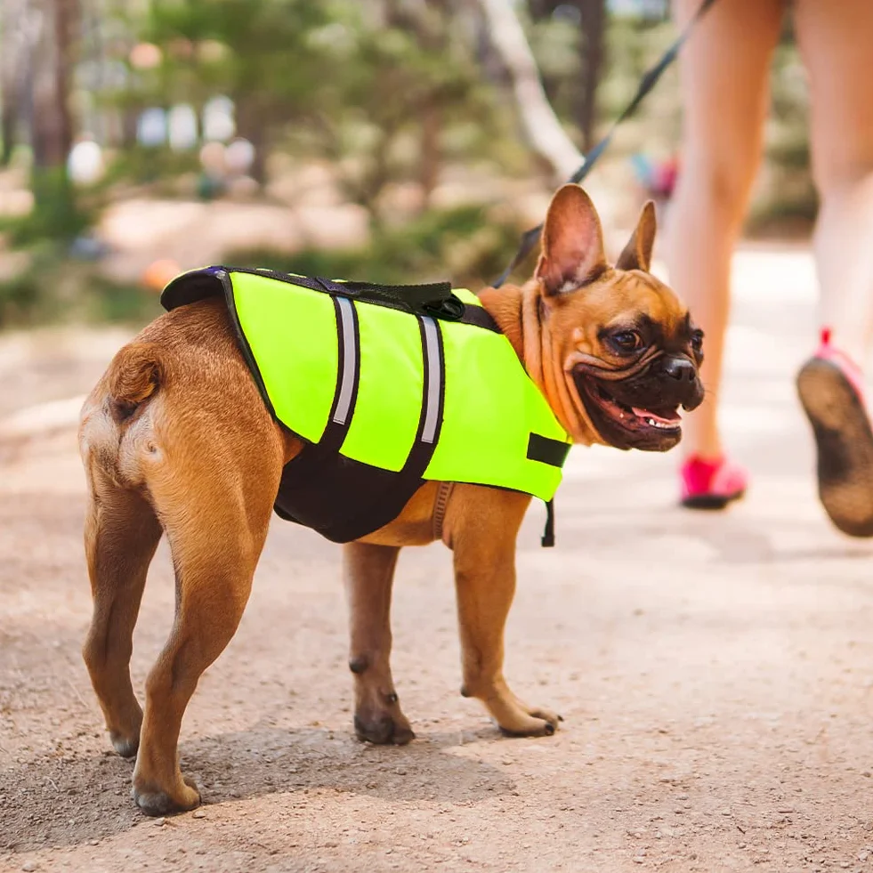 Gilet de Sauvetage Chien FainFun avec Bandes Réfléchissantes et Ceinture Réglable Vert XL
