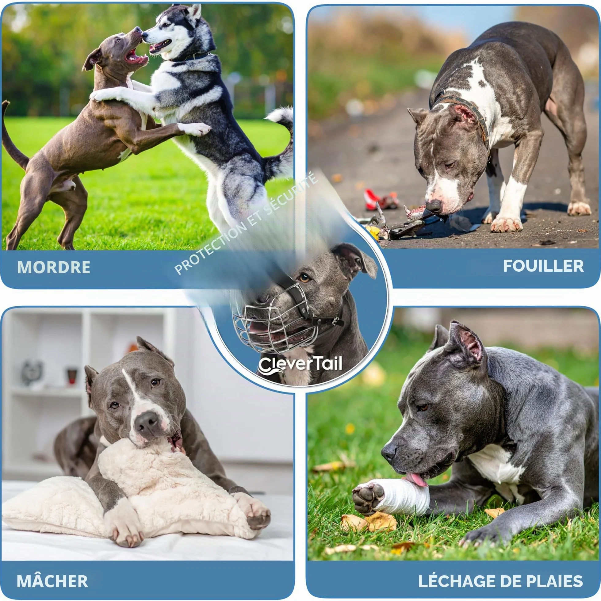 Muselière en métal pour Pitbull de grande taille – Muselière panier pour chiens avec sangles en cuir réglables – Muselière en cage en acier pour chiens pour éviter les morsures