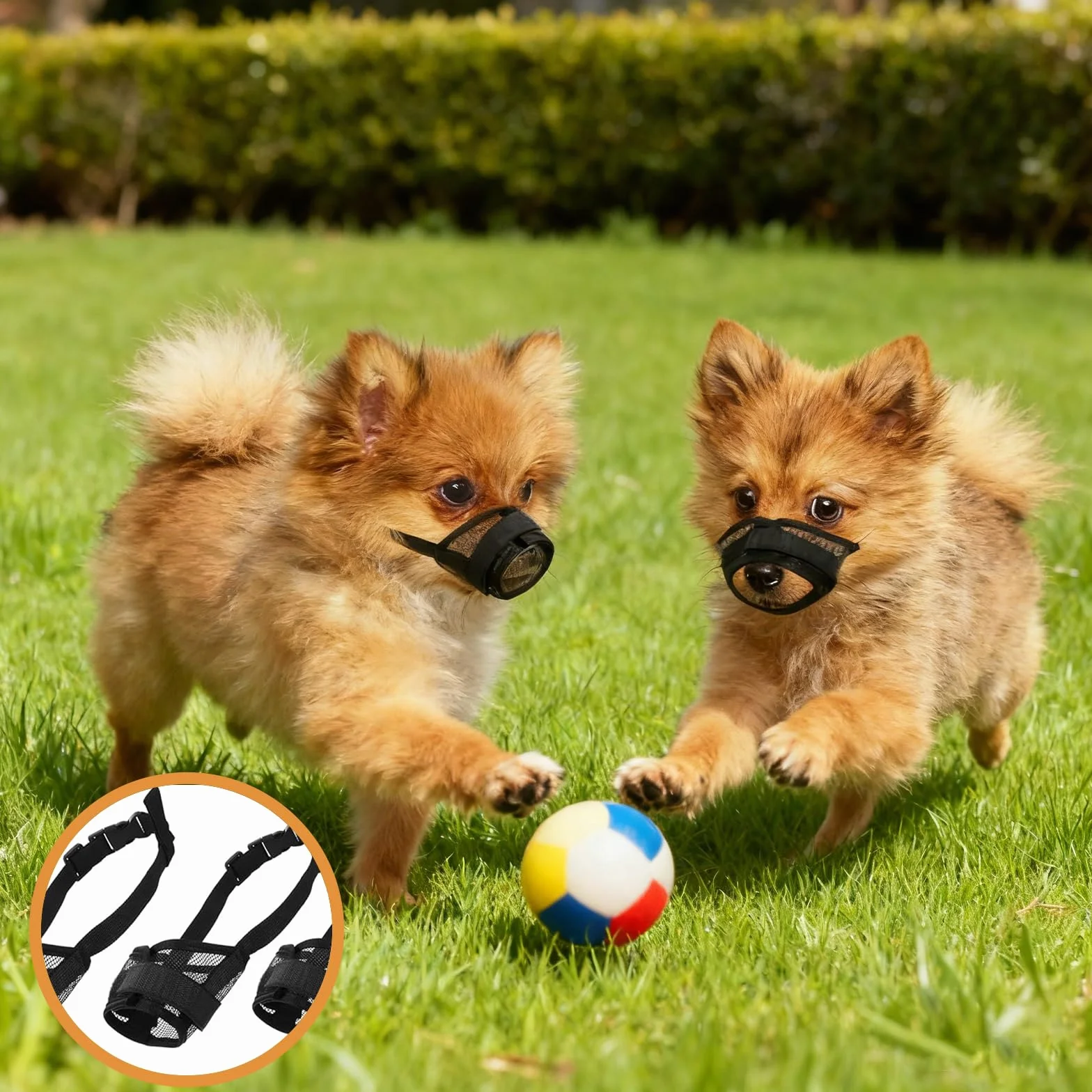 Muselières en Nylon pour Chiens pour Chien en Maille Douce Et Respirante Réglable pour Chiens De Petite Museliere Anti Aboiement pour Toilettage, Mordre Et Mastication S