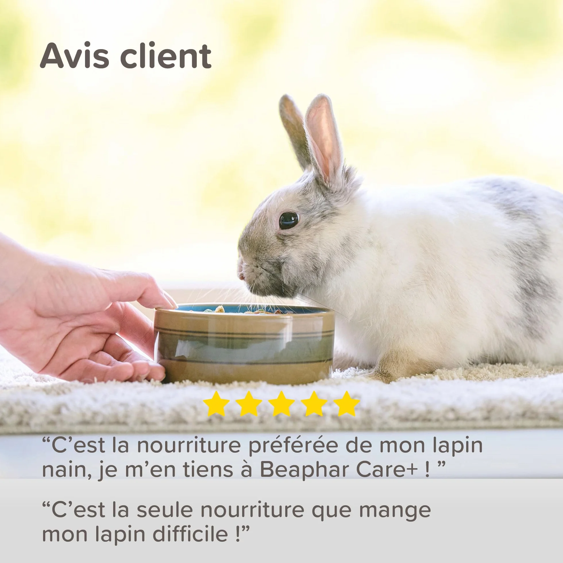 BEAPHAR Care+ Alimentation Super Premium extrudée pour Lapin Junior 25% Fibres 1.5 kg