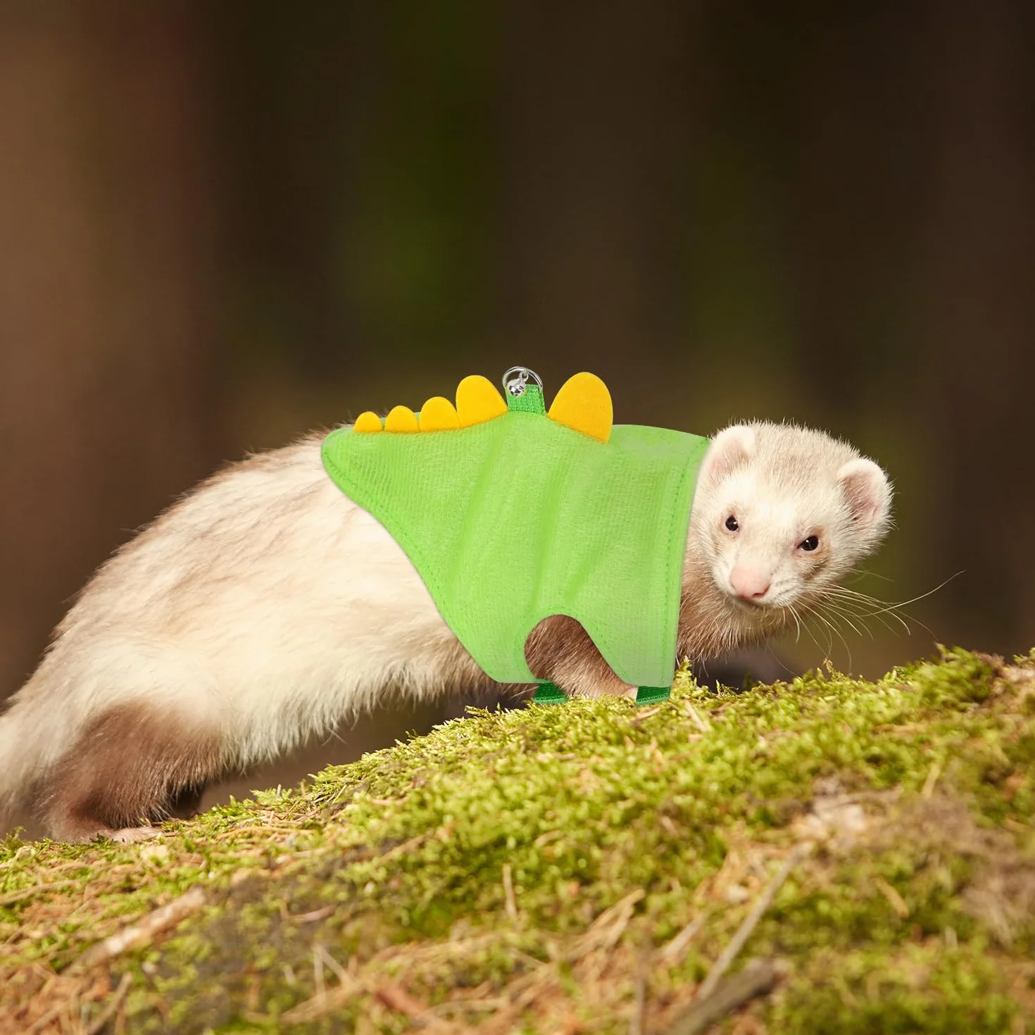 Ensemble Harnais et Laisse pour Furet, Gilet en Forme de Dinosaure Petits Animaux Accessoires de Promenade en Plein Air pour Furet Lapin Hamster Chaton Chiot Petits Animaux