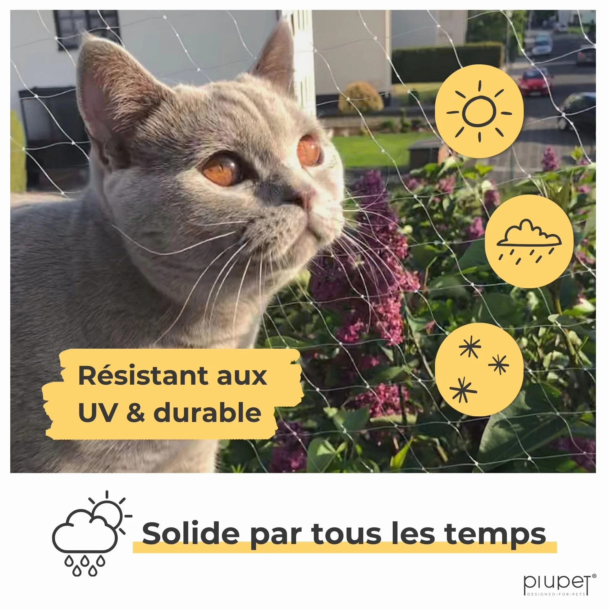 PiuPet® Filet de Protection pour Chats 4 x 3 m Transparent avec Corde de Fixation pour Balcons et Fenêtres
