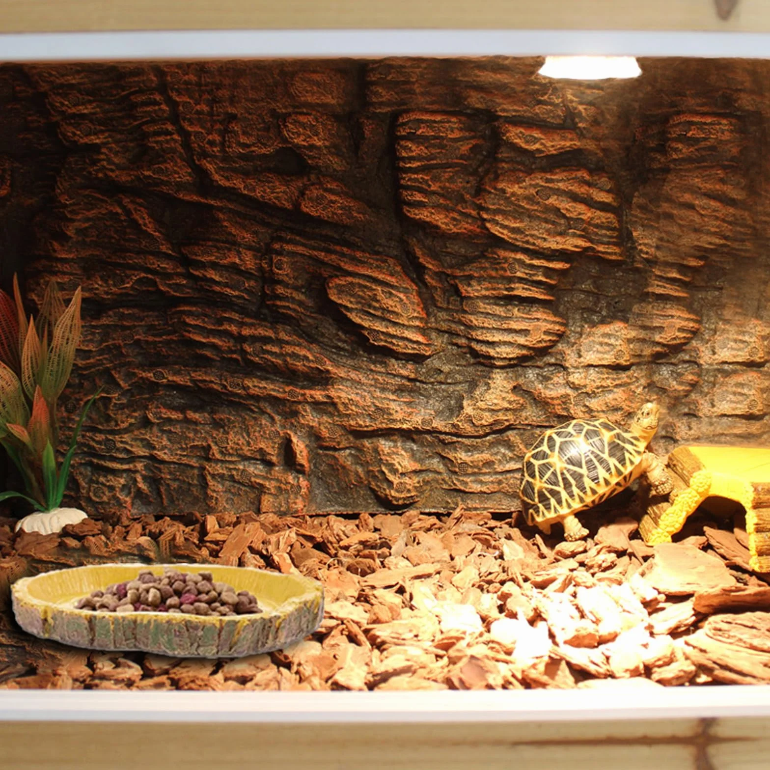 Gamelle Tortue Terrestre Nature Bol d'eau pour Reptiles Intéressant