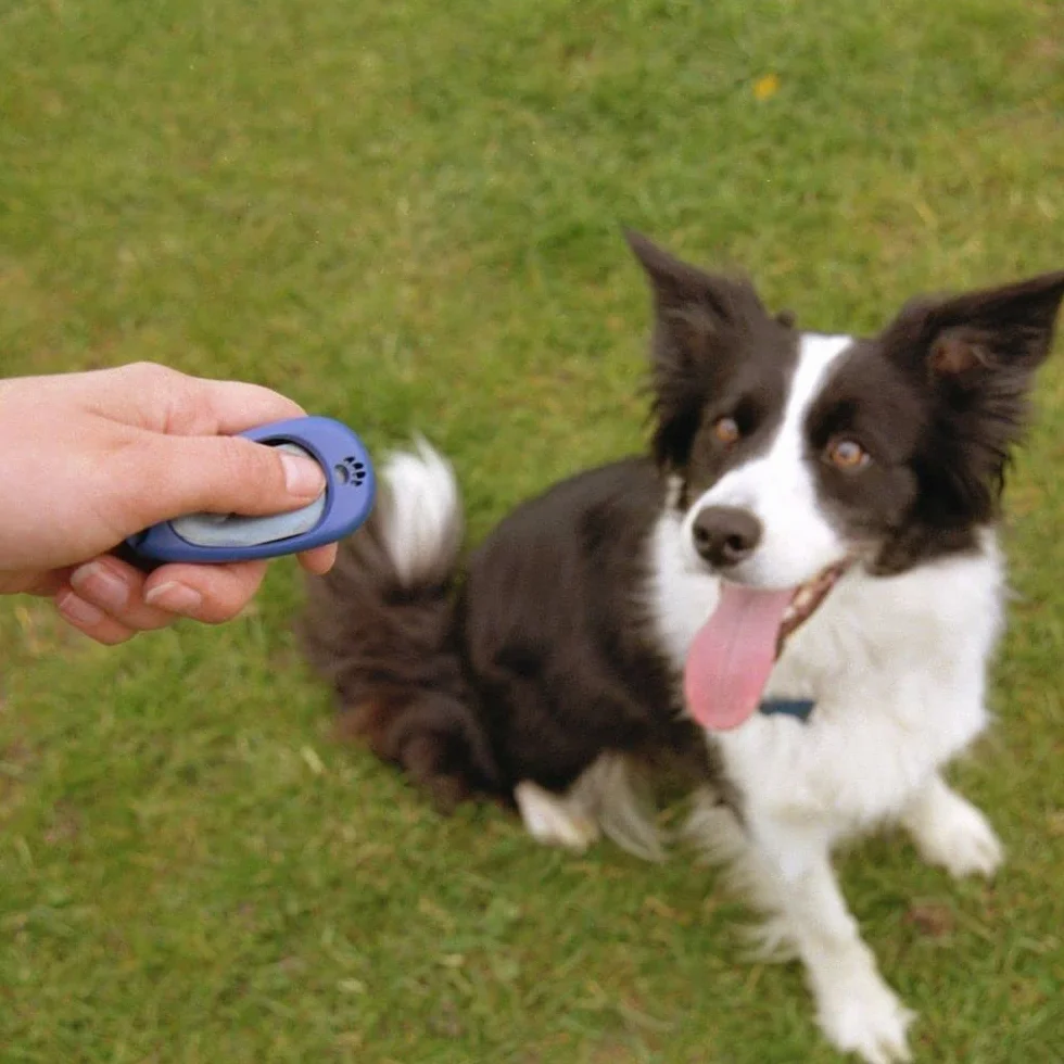 Multi-Clicker Company of Animals - Accessoire pour chien, contrôle du volume à 3 réglages, facile à cliquer, dragonne réglable, clicker pour chien, destiné au dressage, convient aux chiens et chiots