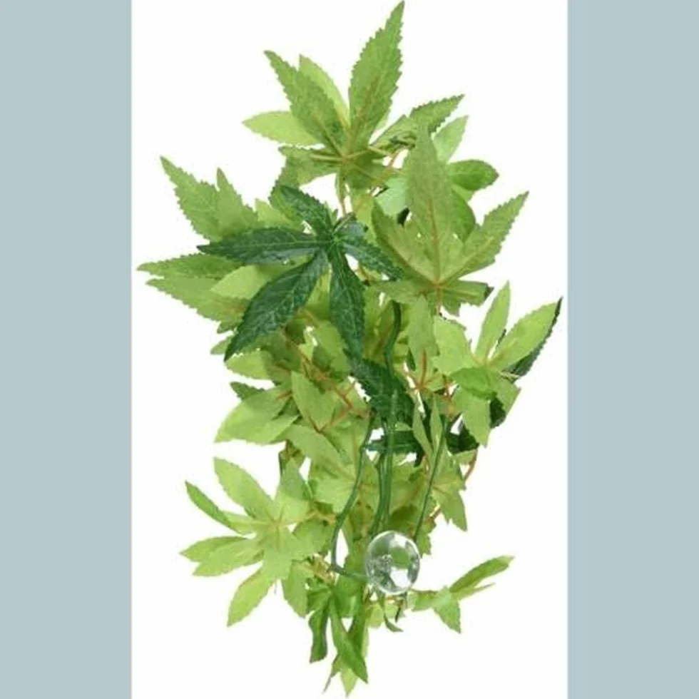 Exoterra Décoration Ficus Plante Moyen Modèle pour Reptiles et Amphibiens