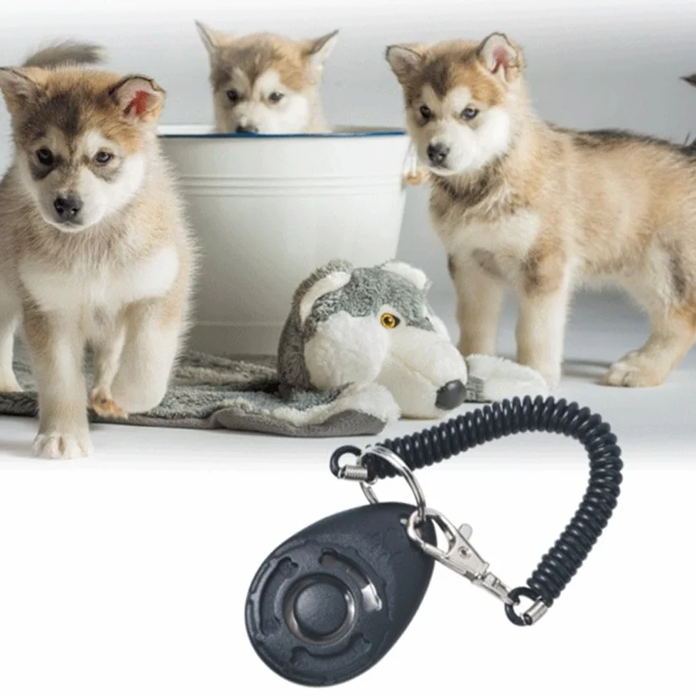 1 Pièce Clickers pour Chien, Clicker Chien Dressage,Clicker Training, Clicker de Chien avec Grand Bouton pour Pet Training Professional, pour Chiens, Chats, Oiseaux, Chevaux (Noir)