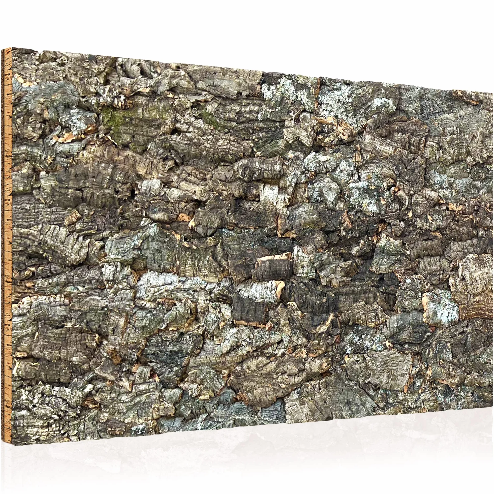 Paroi arrière XL en liège 3D pour Terrarium 90 x 60 cm