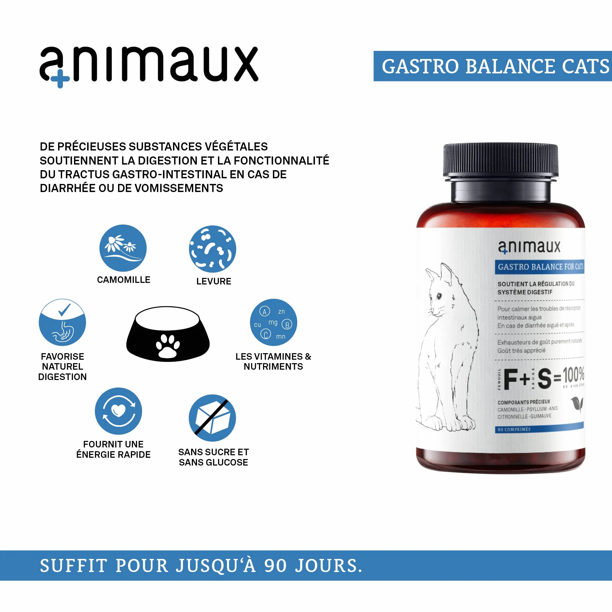 Probiotiques pour Chats 90 Comprimés à Mâcher Complément Alimentaire Favorise Digestion Naturelle Fenouil Sauge Psyllium Gastro Balance