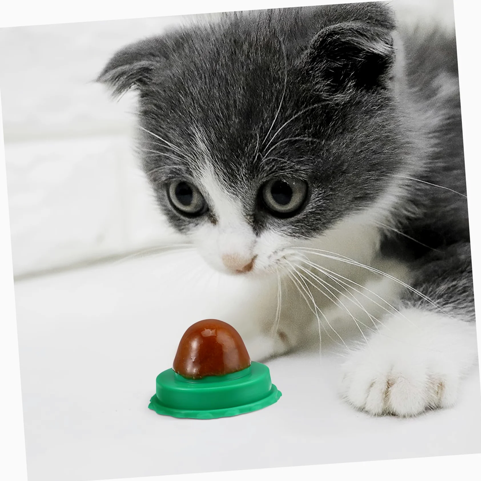 POPETPOP Sucettes à l'herbe à Chat 10 Pièces pour Chat Vert, Friandises Vitaminées Naturelles pour Augmenter L'hydratation et Améliorer Problèmes Urinaires