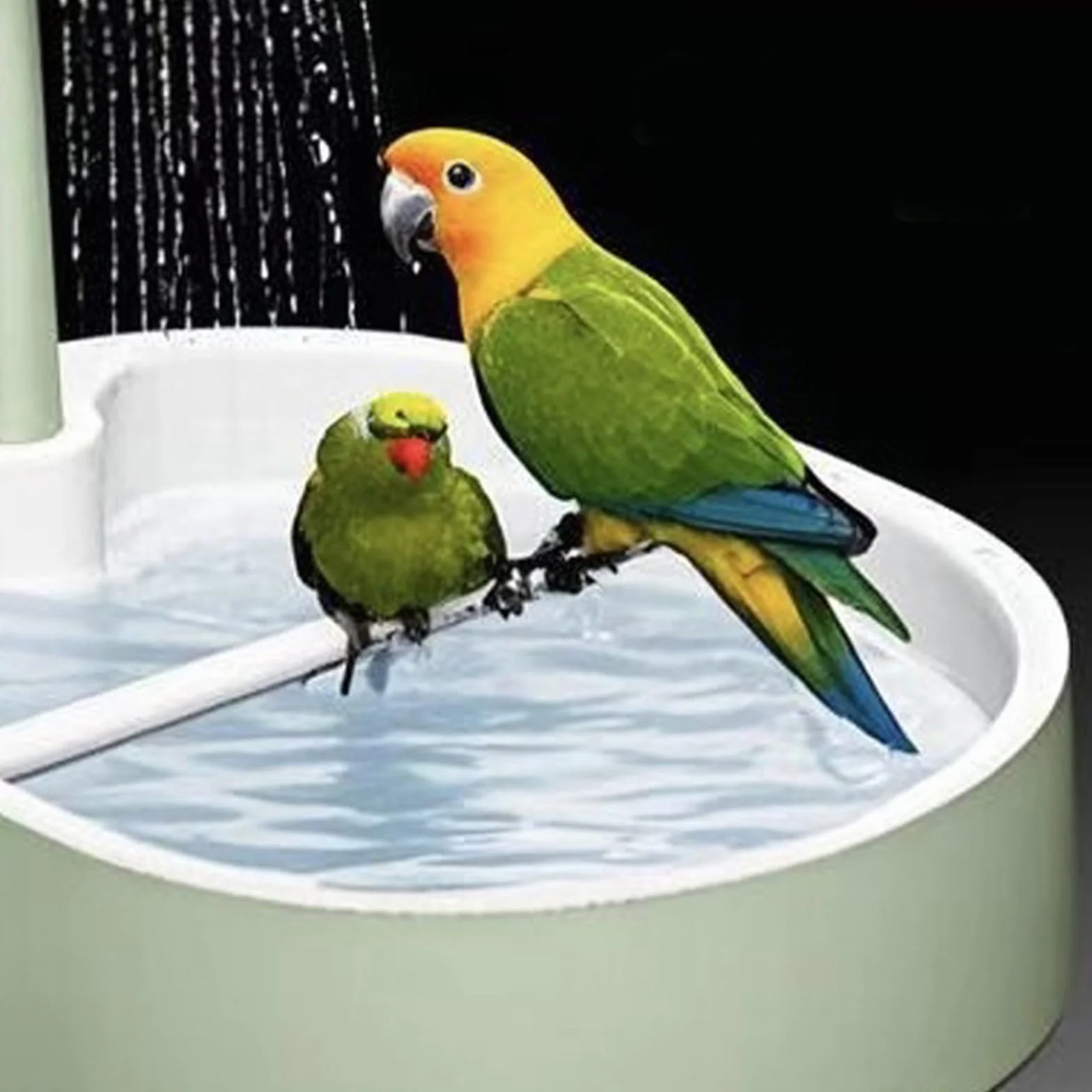 Baignoire Oiseaux Fontaine Douche Automatique pour Perruches, Perroquet, Conures, Cacatoès (Vert)