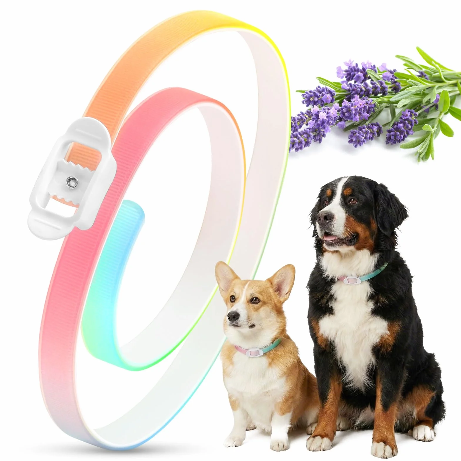 Collier Anti-Parasites pour Chien, Protection 8 Mois, Anti-Puces & Tiques, Réglable 69cm, Résistant à l'eau