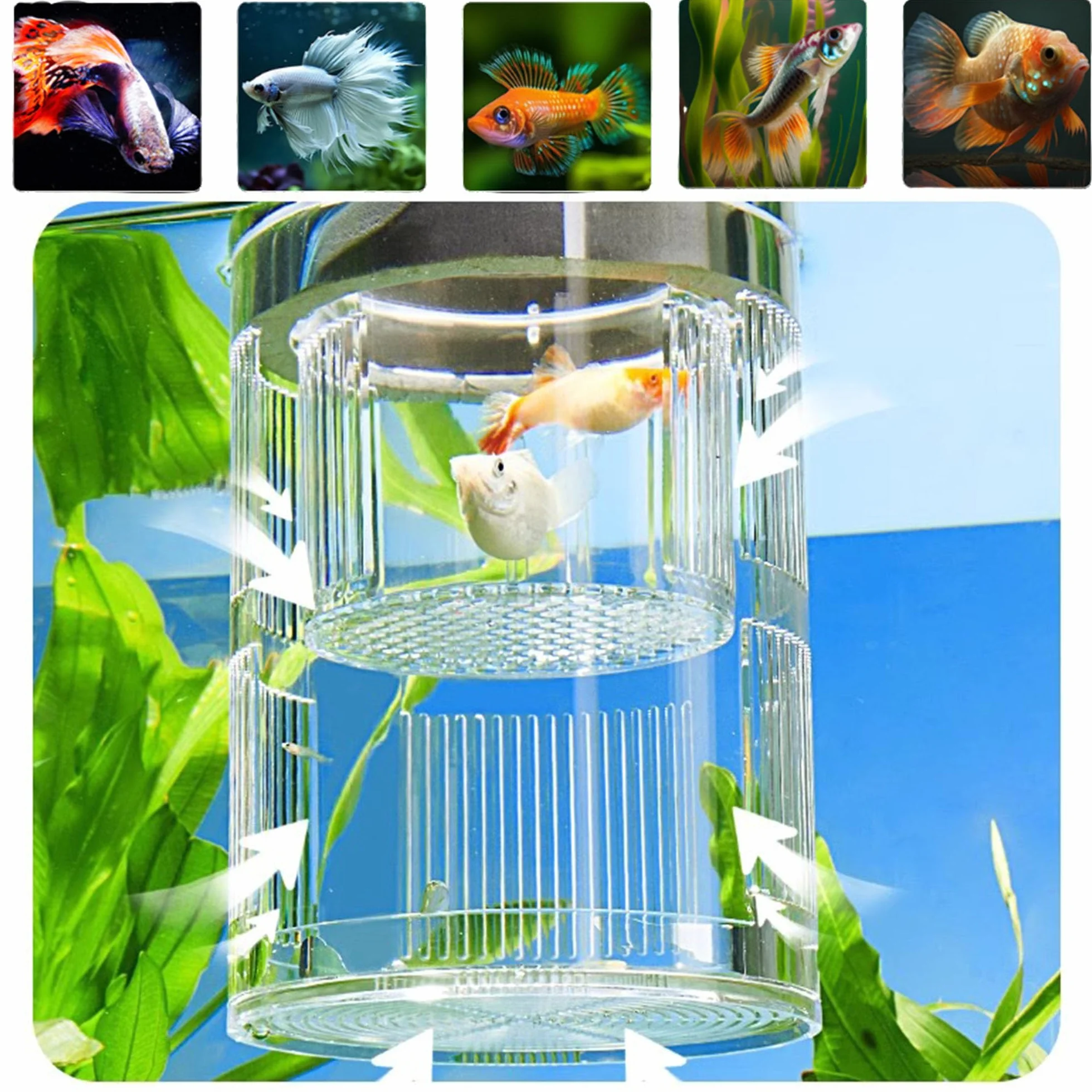 Forme Cylindrique Boîte D'éLevage pour Aquarium, Boîte D'éLevage pour Poissons D'Aquarium, Double Couche, Transparent, Incubateurs avec Ventouses, pour Poissons Agressifs Blessés