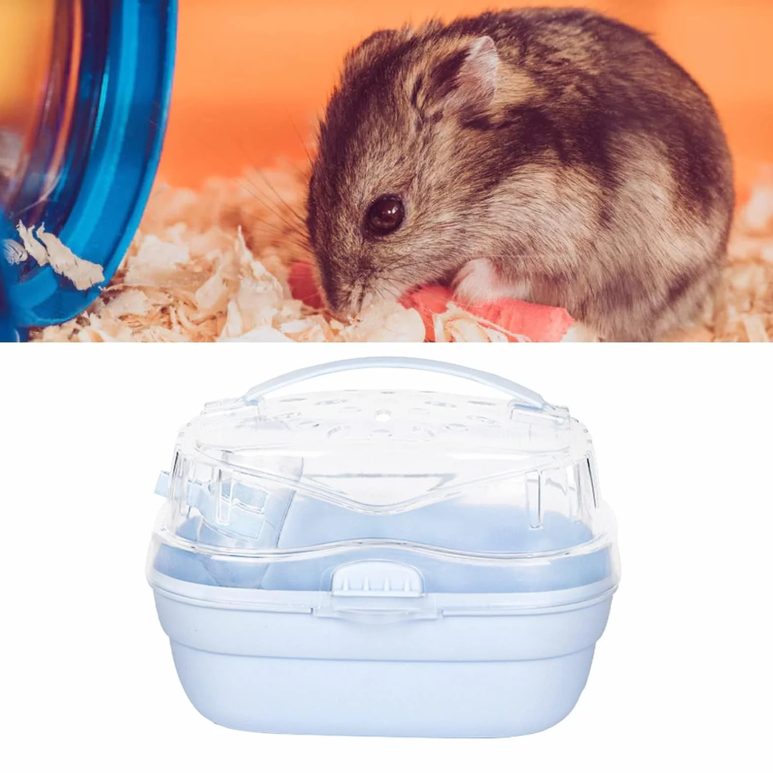 Cage de Transport pour Hamster Portable Voyage Plein Air Bleu crème