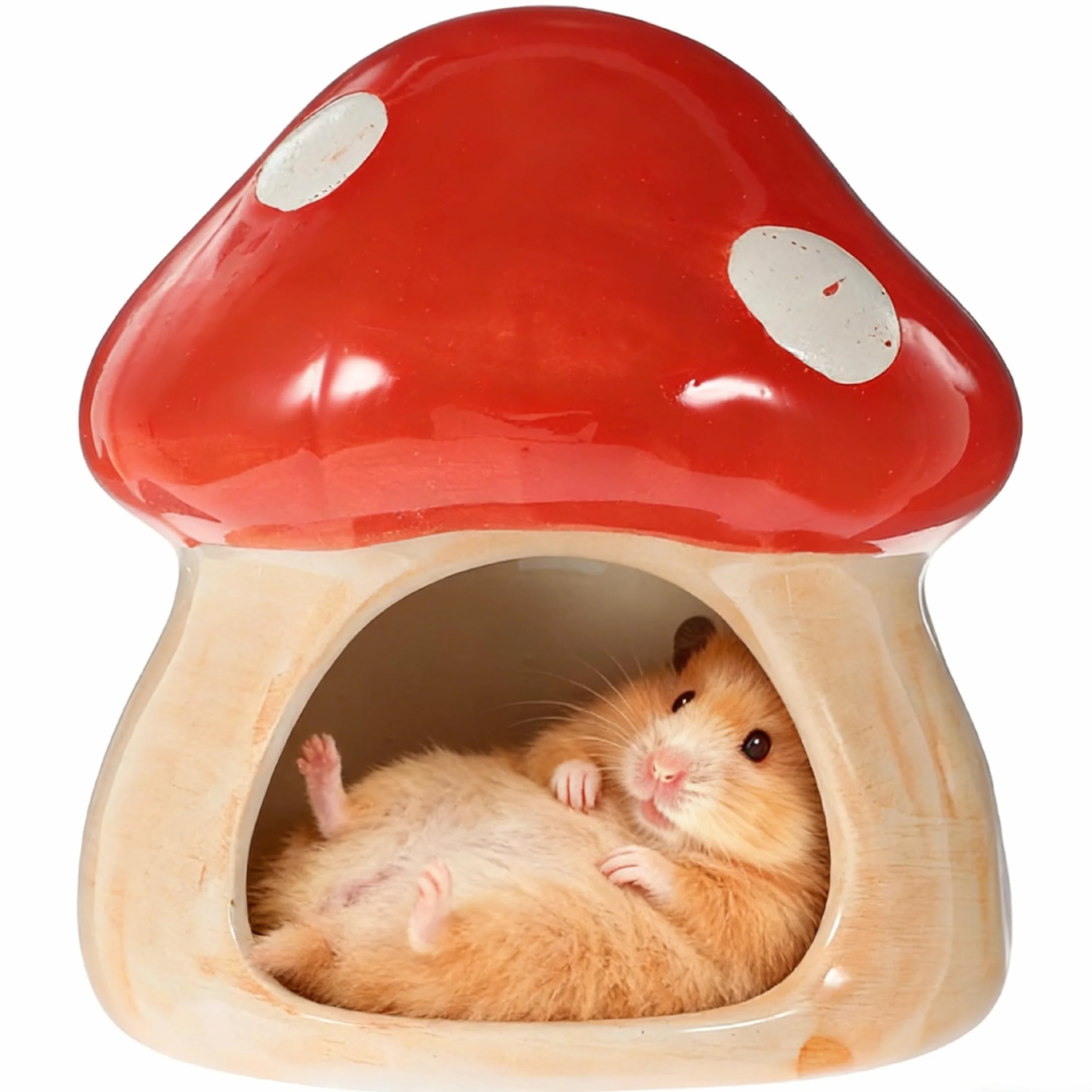 Maison en céramique pour hamster, hamster unique, cachette en céramique, en forme de champignon, pour gerbilles, souris, chinchillas (petite taille)