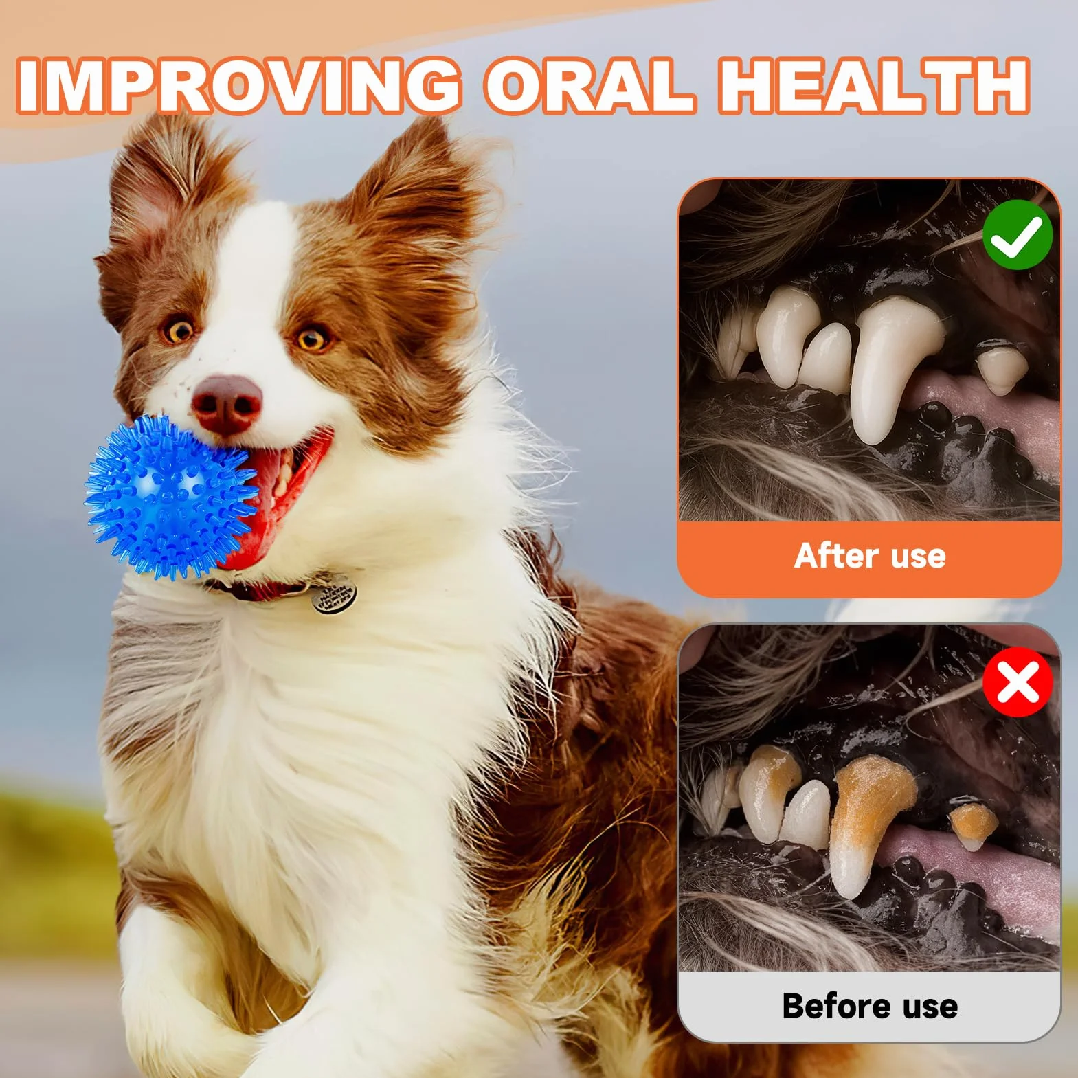 Squeaky Dog Ball Toys 4 Pack, Spiky Chew Balls Flottant pour Chien